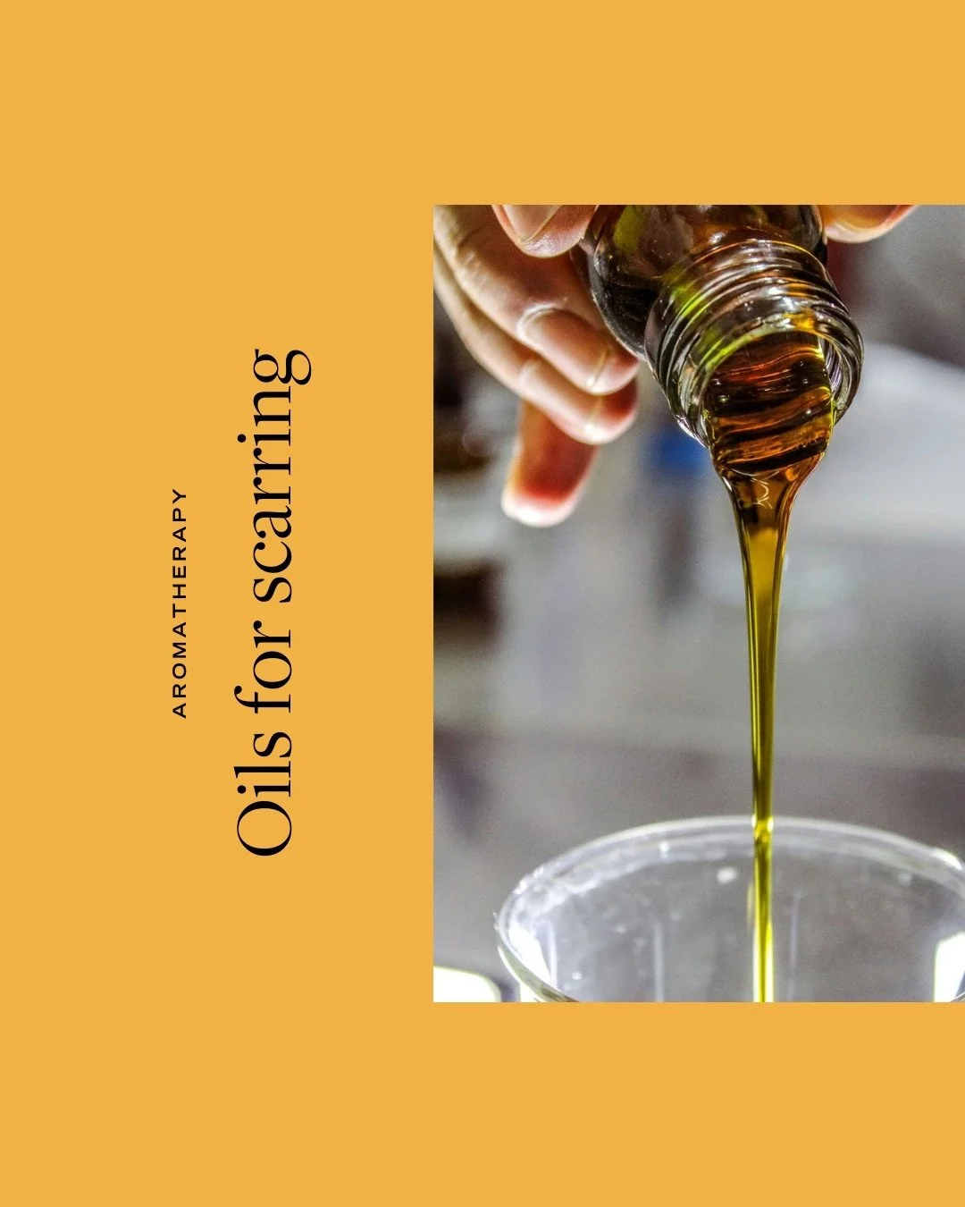Can oils really fade scars? 🧐 The short answer: Yes, with the right ingredients and a little patience!⁠
⁠
Oils work by delivering potent nutrients directly where your skin needs them most. Here are the top performers I recommend: ⁠
⁠
🟠 Rosehip Oil: