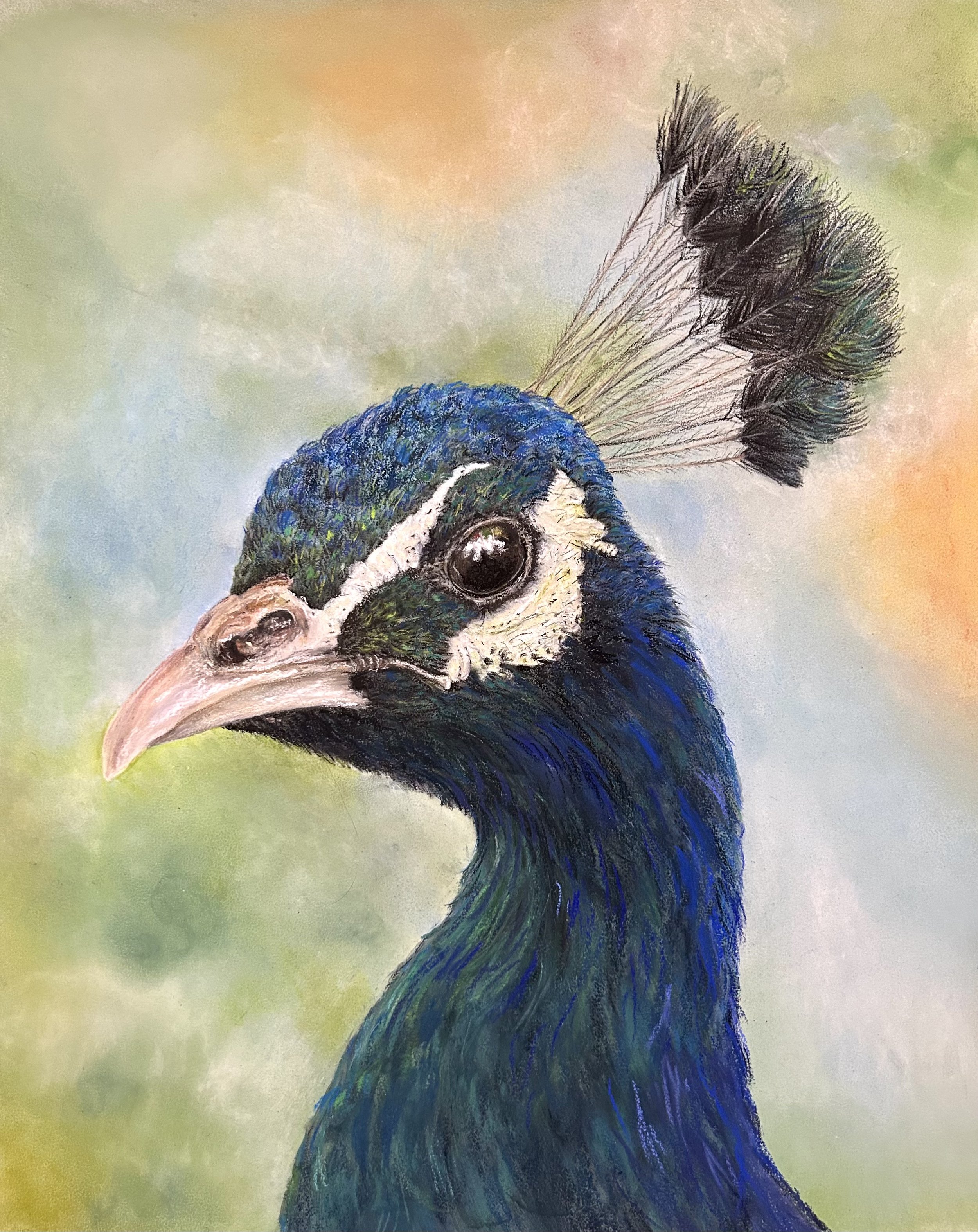 Teal Majesty: A Peacocks Gaze