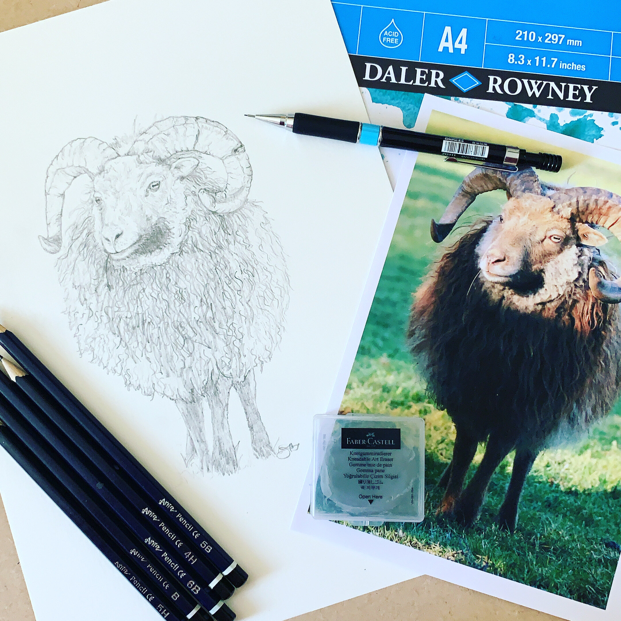 Part of a series of images for a Sheep Farm