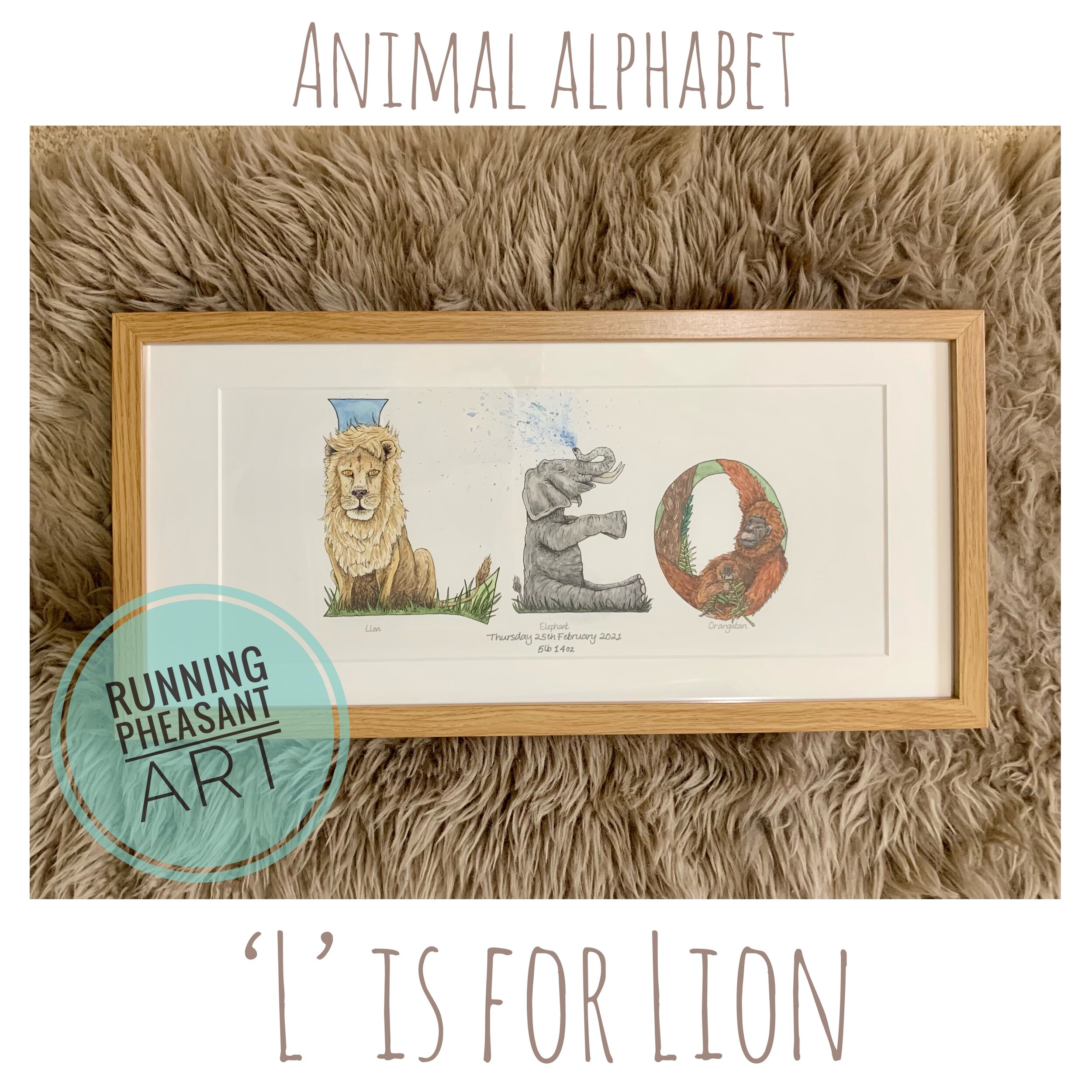 Handpainted Letterbox - Leo - framed 23x50cm frame for a 17x41cm Image