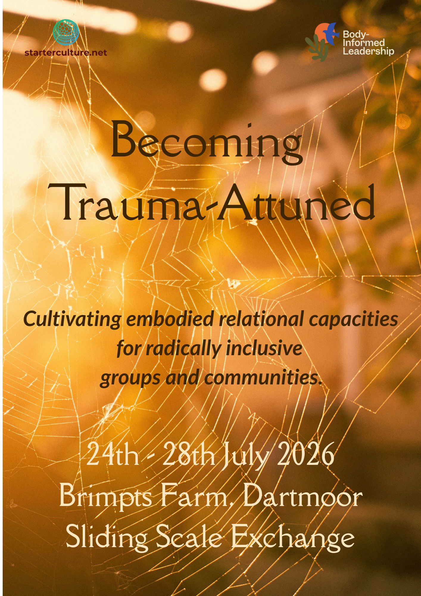 Becoming Trauma-Attuned