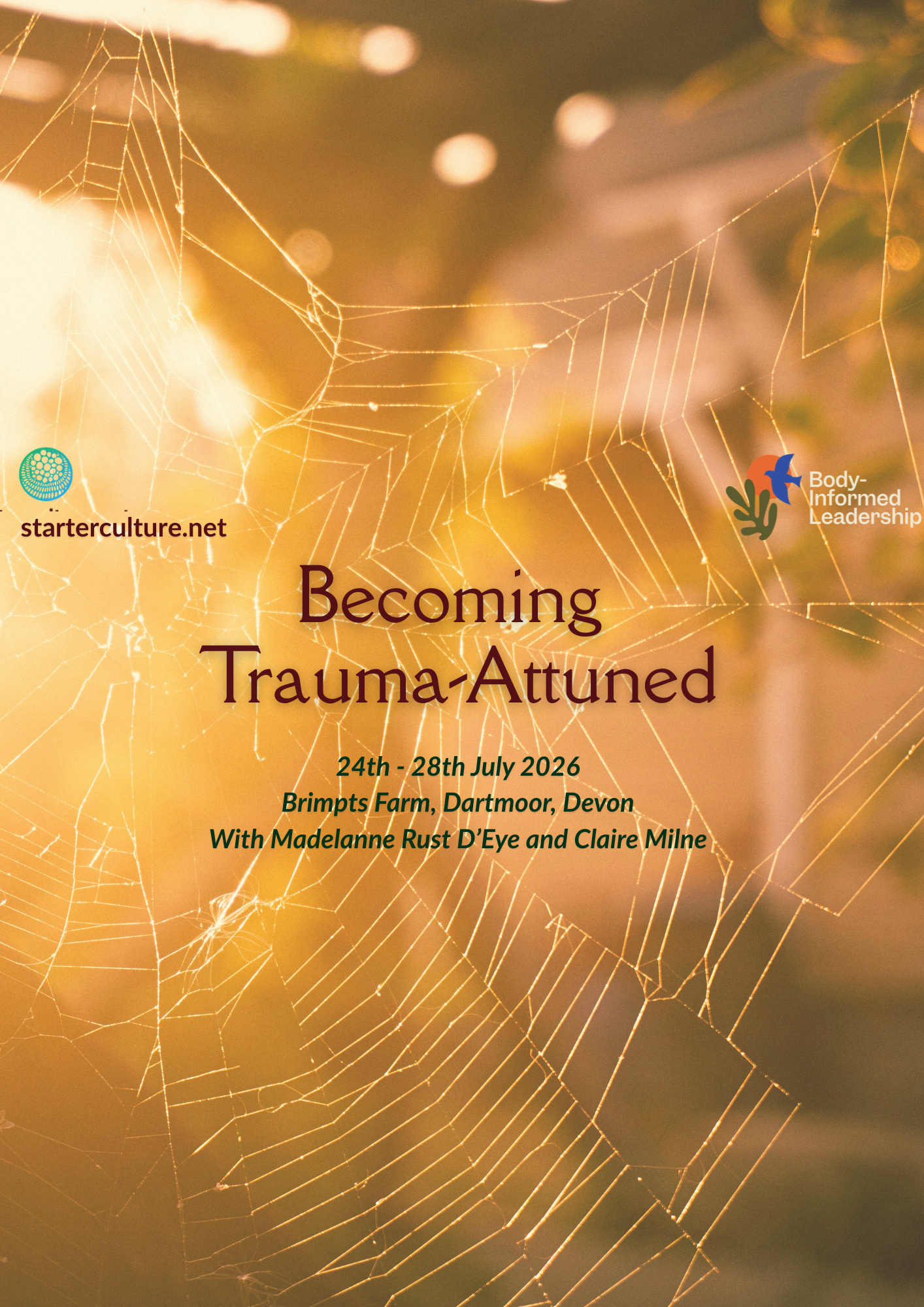 Becoming Trauma-Attuned