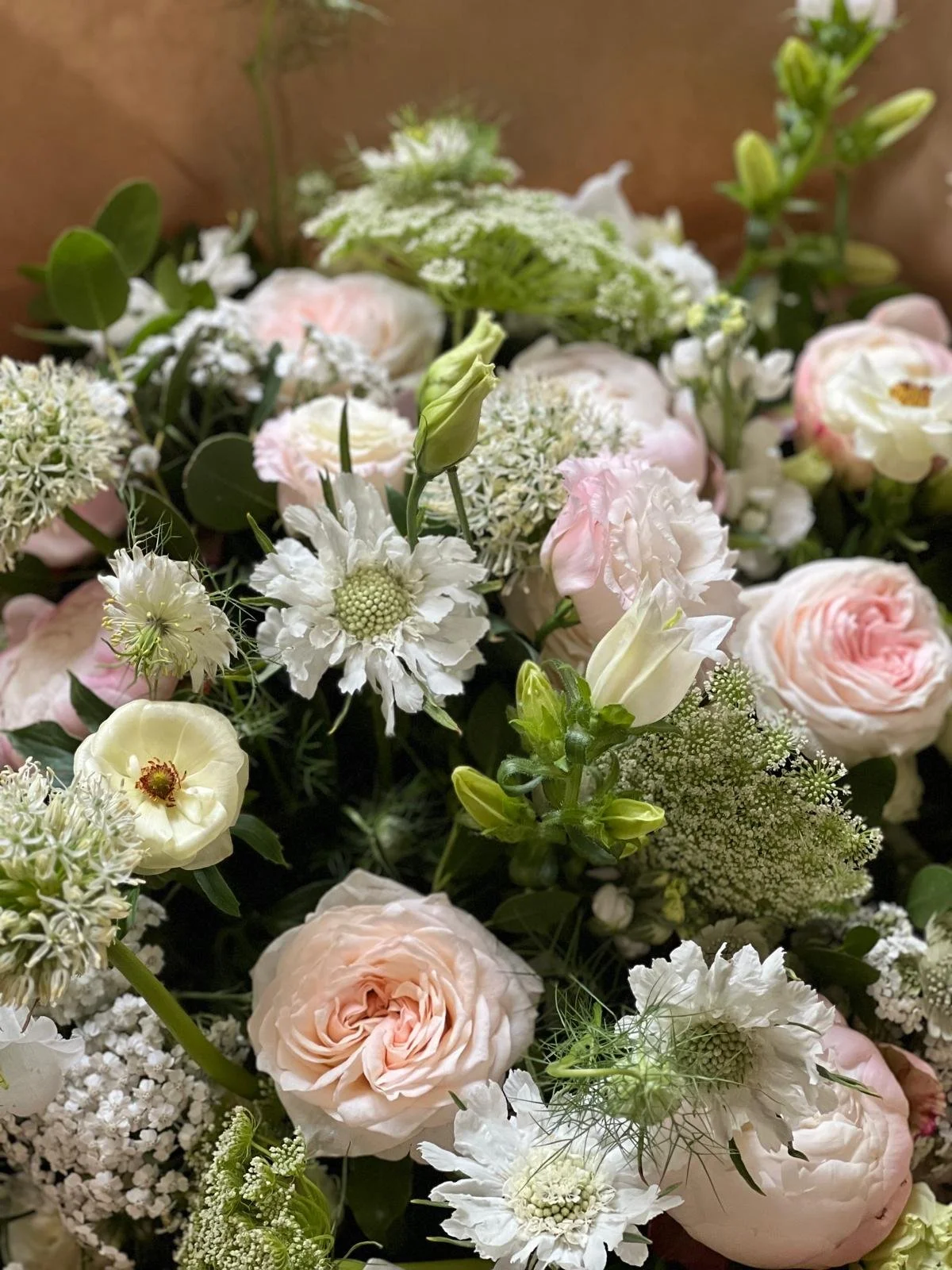 WhatsApp Image 2026-01-14 at 14.32.17 (2).jpeg