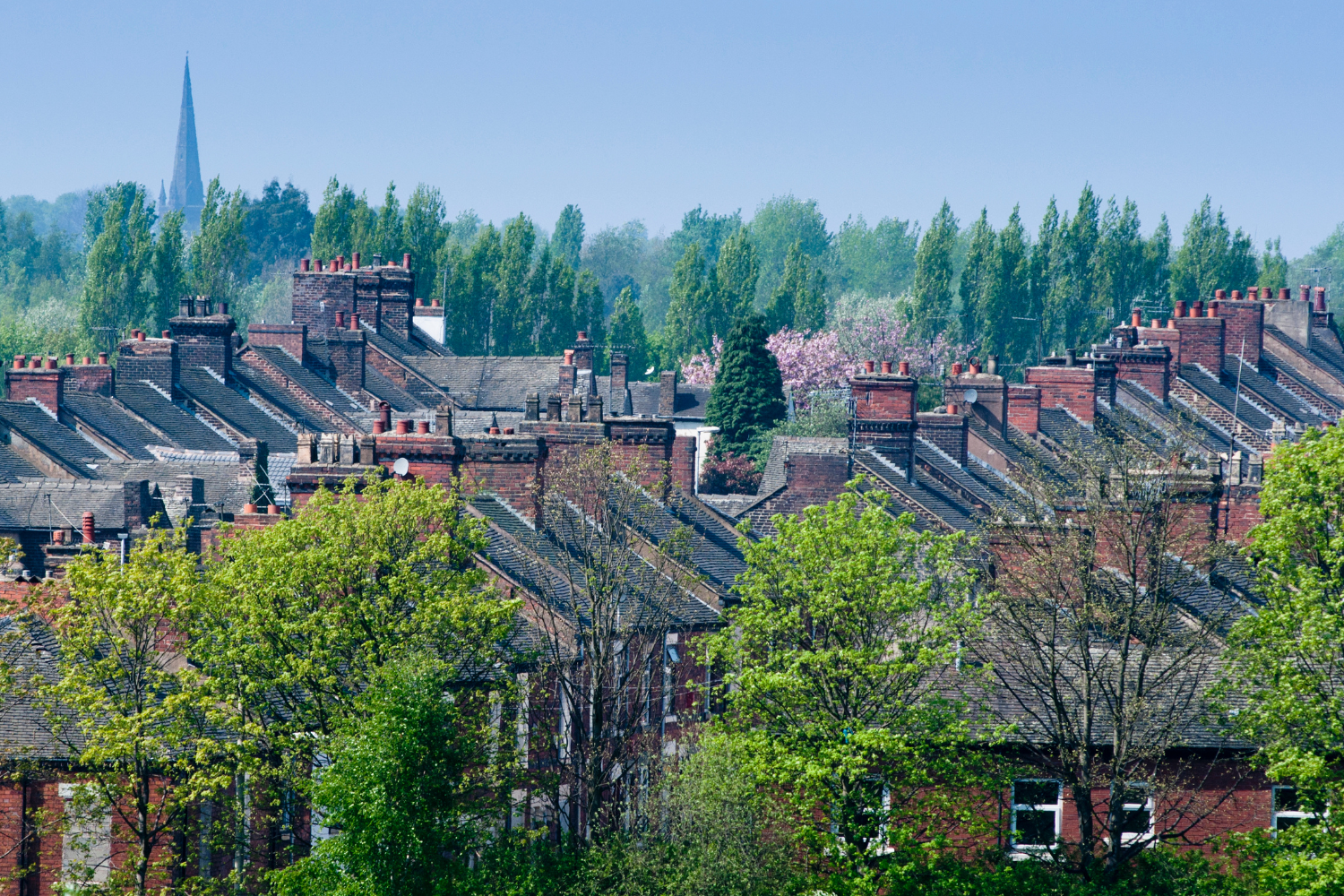 A photograph of several rows of red-brick Staffordshire houses interspersed with trees in the summer.