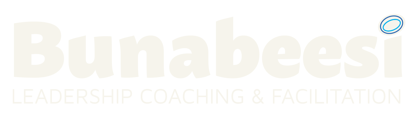 Transformational Leadership Coaching with Jill Aronoff, Bunabeesi, LLC