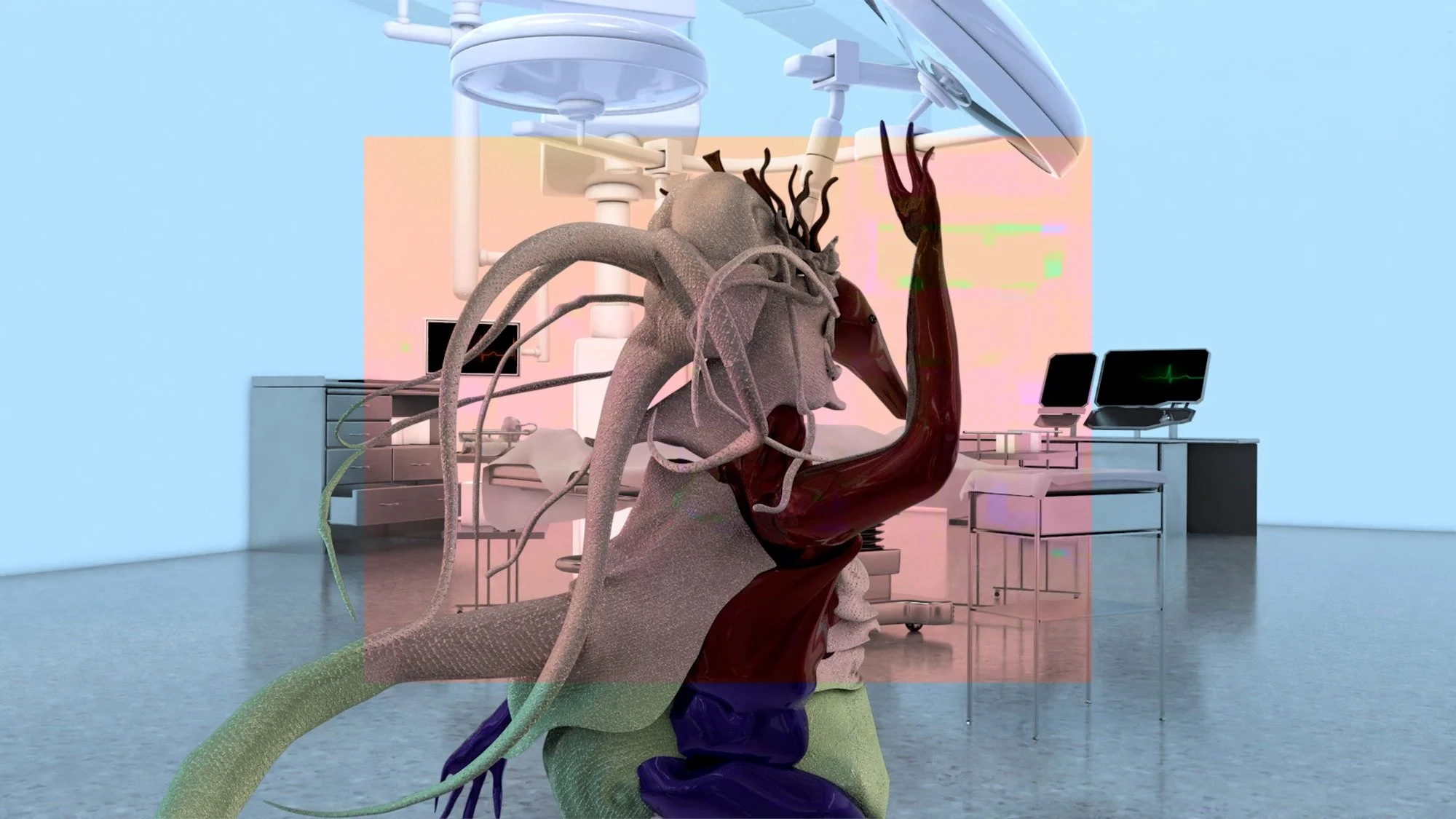 Johanna Bruckner_Installation.jpeg