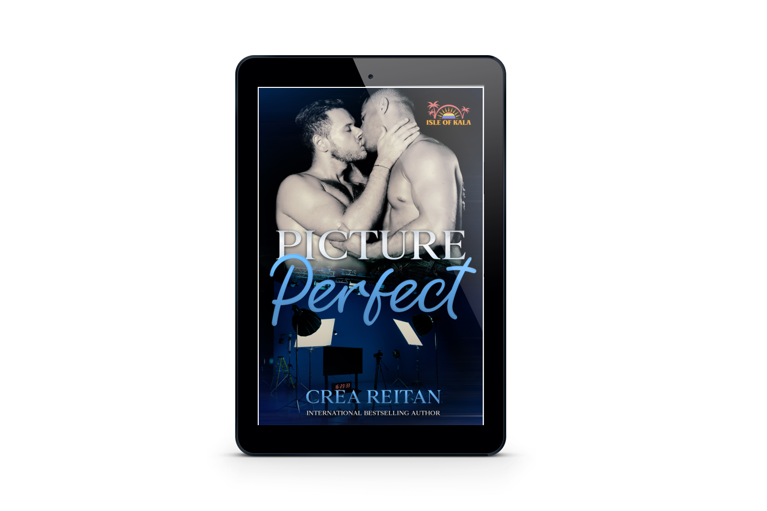 Picture Perfect ebook 3d.png