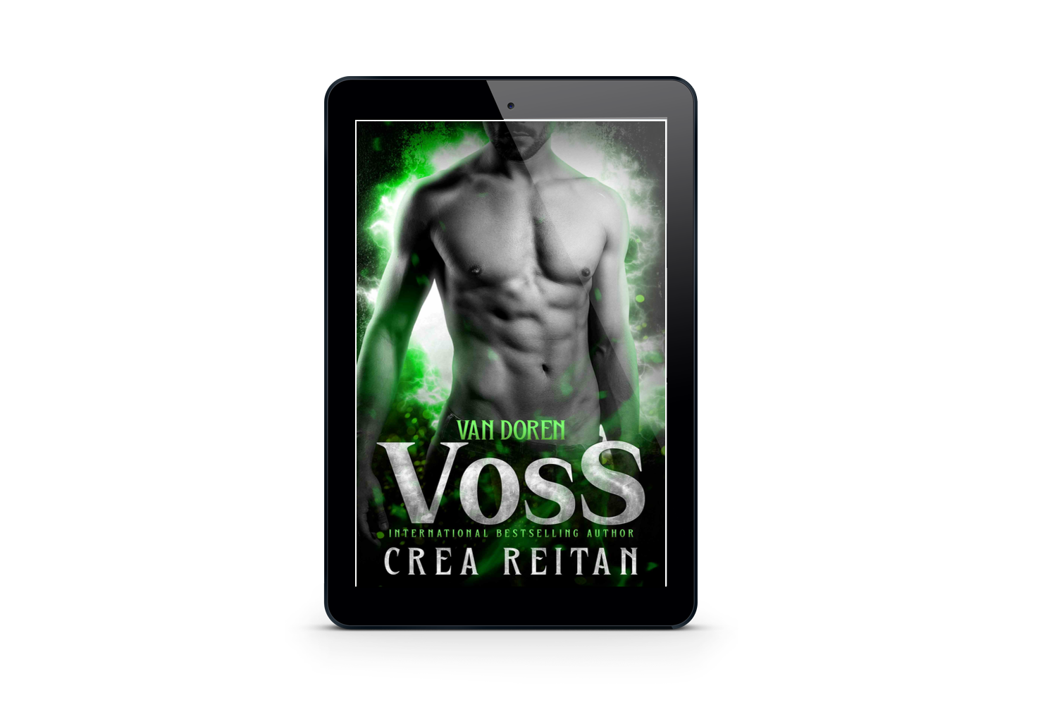 Voss 3d ebook.png