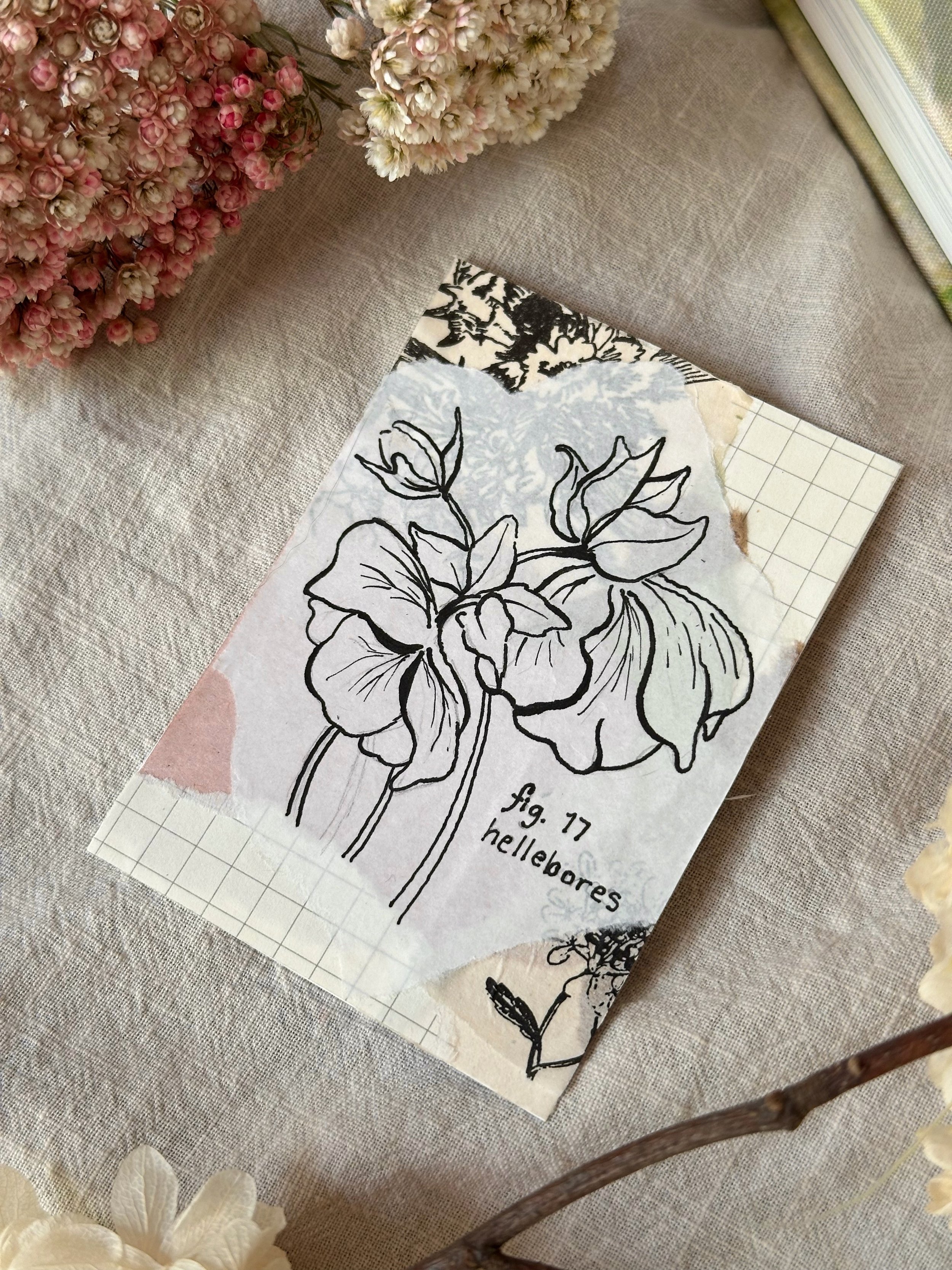 Library - 16 of 17.jpeg