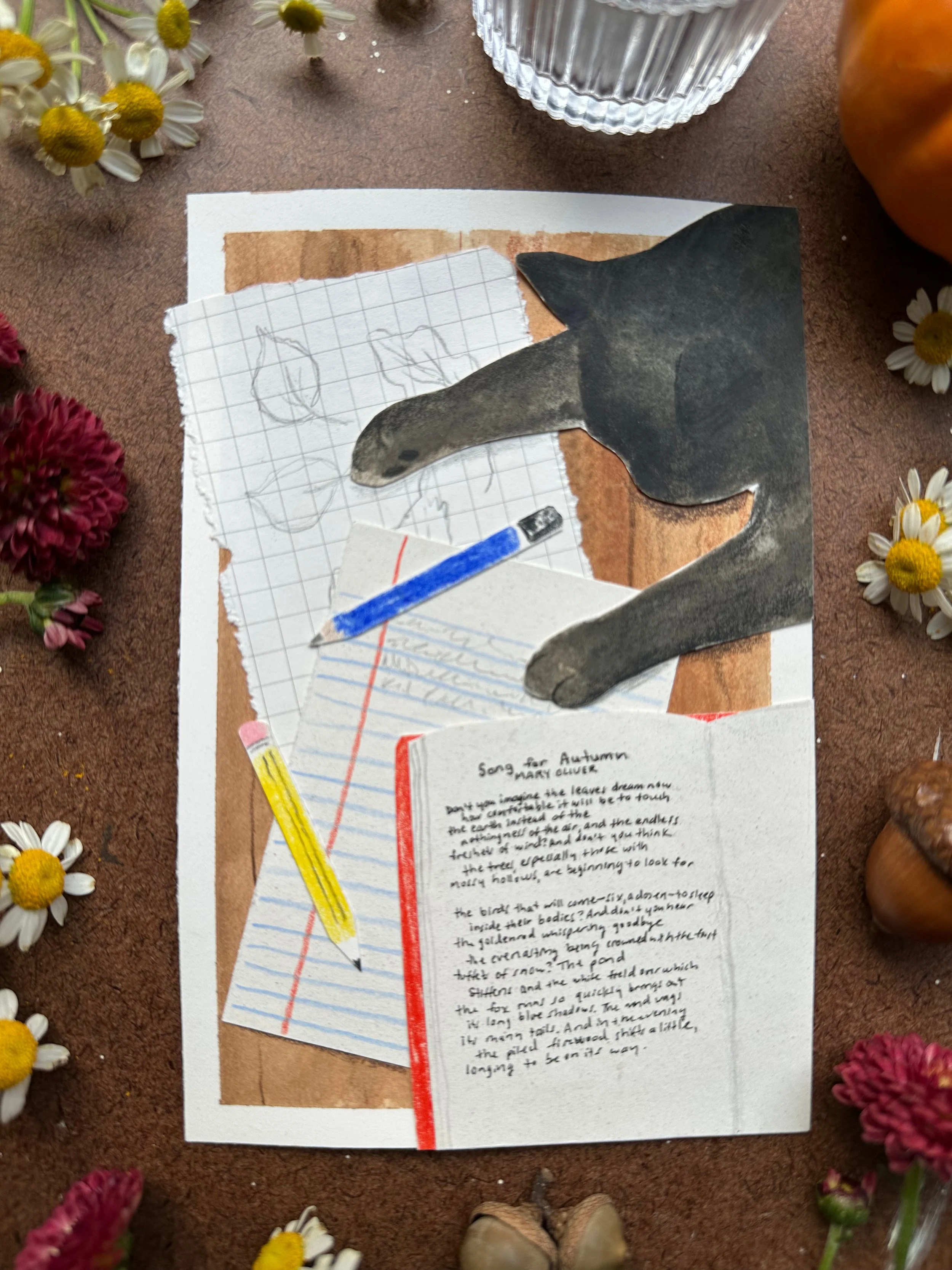 Library - 7 of 32.jpeg