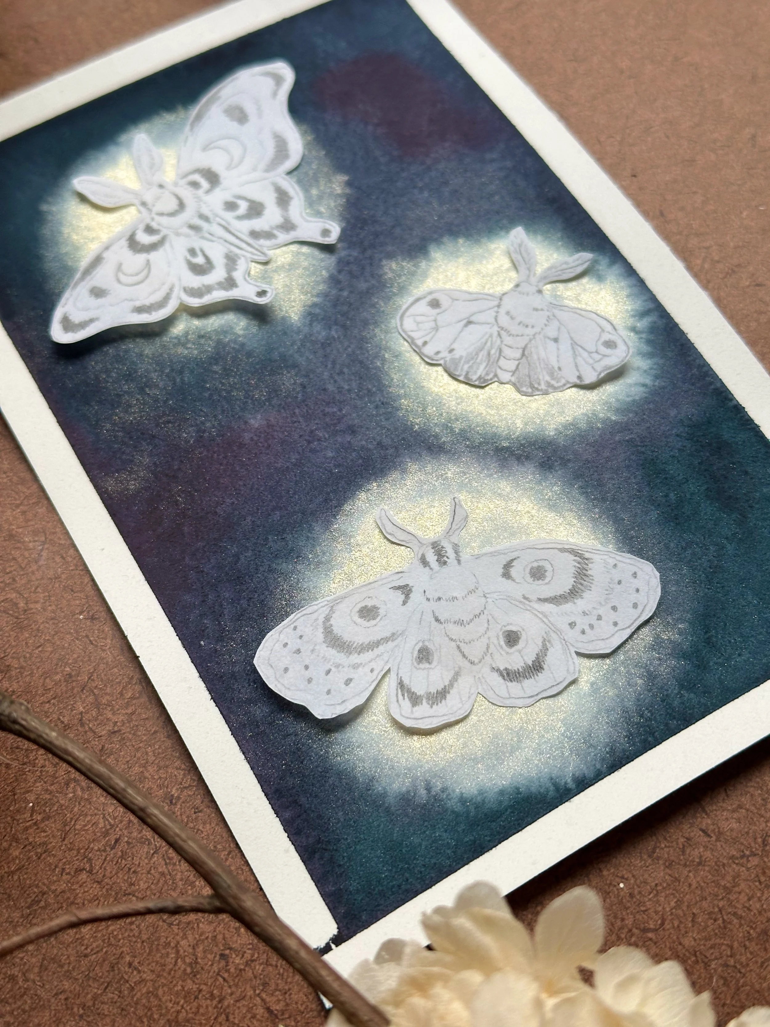 Library - 27 of 38.jpeg