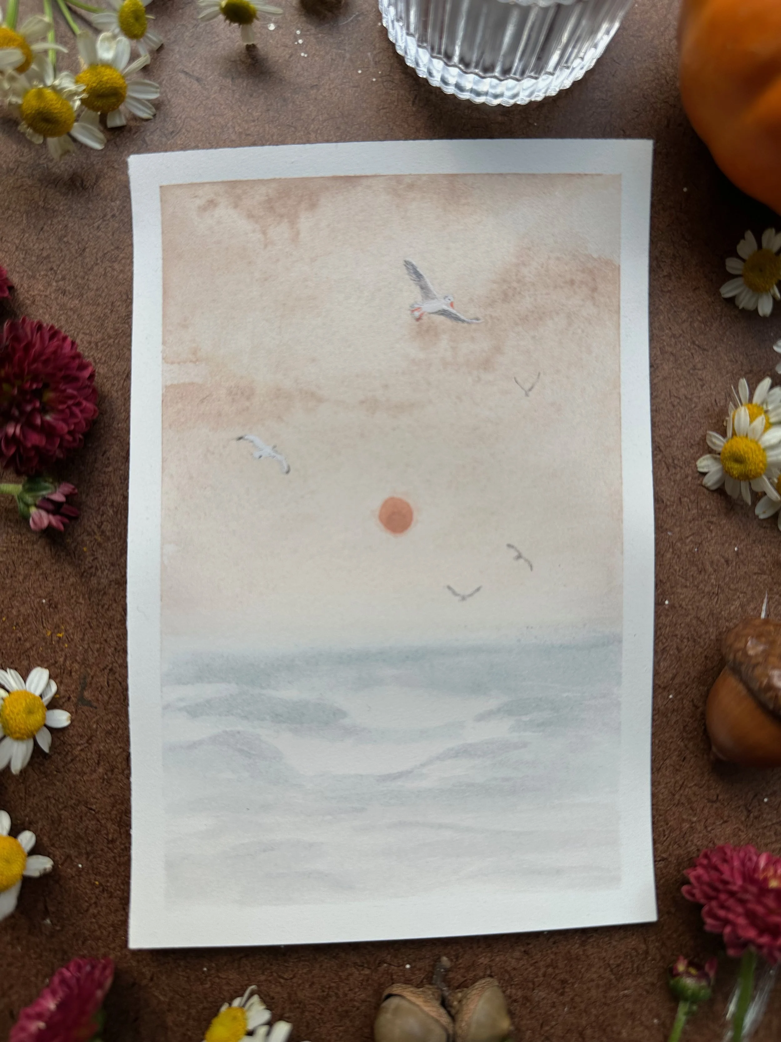 Library - 11 of 32.jpeg