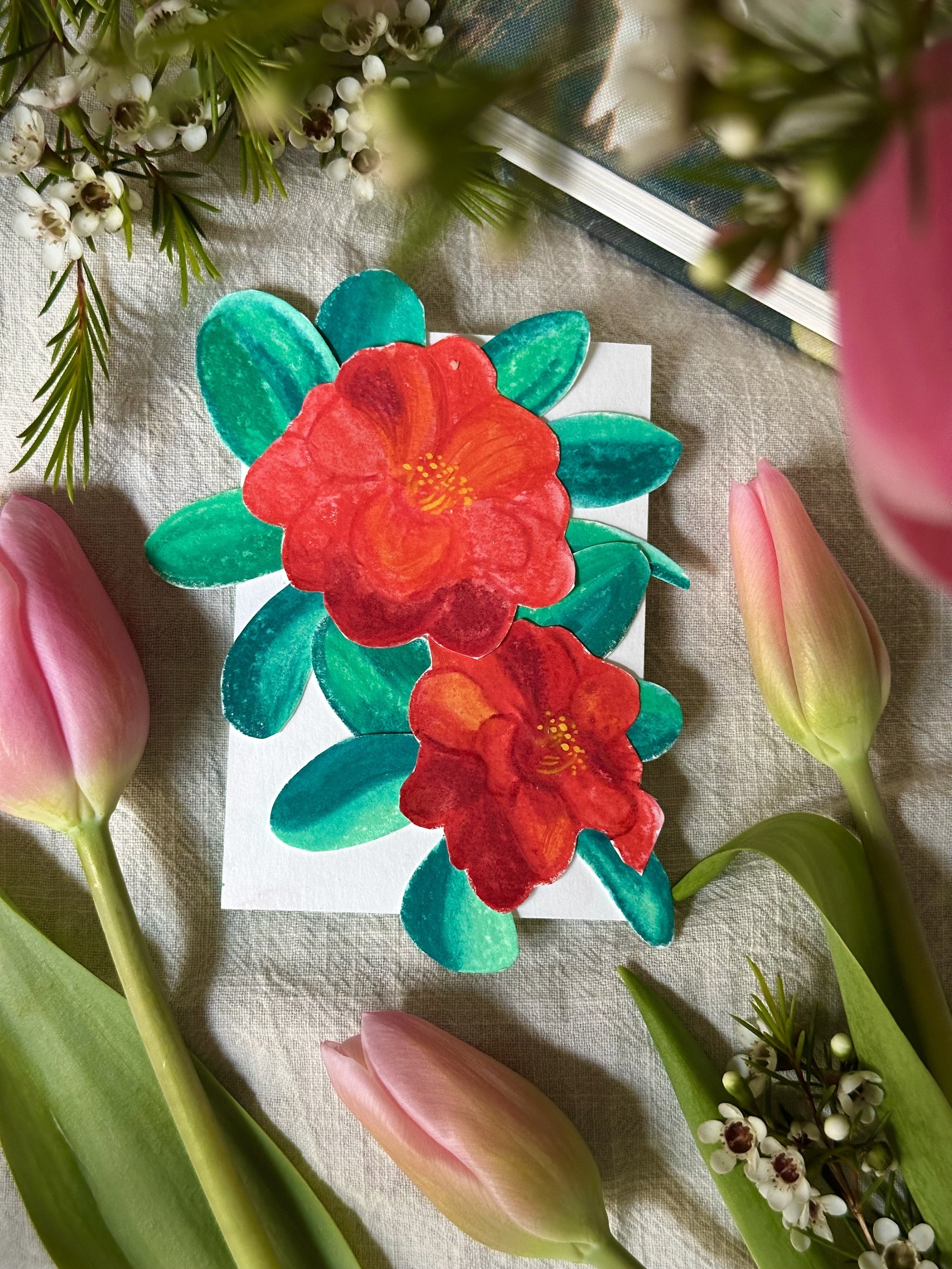 18 CAMELLIAS