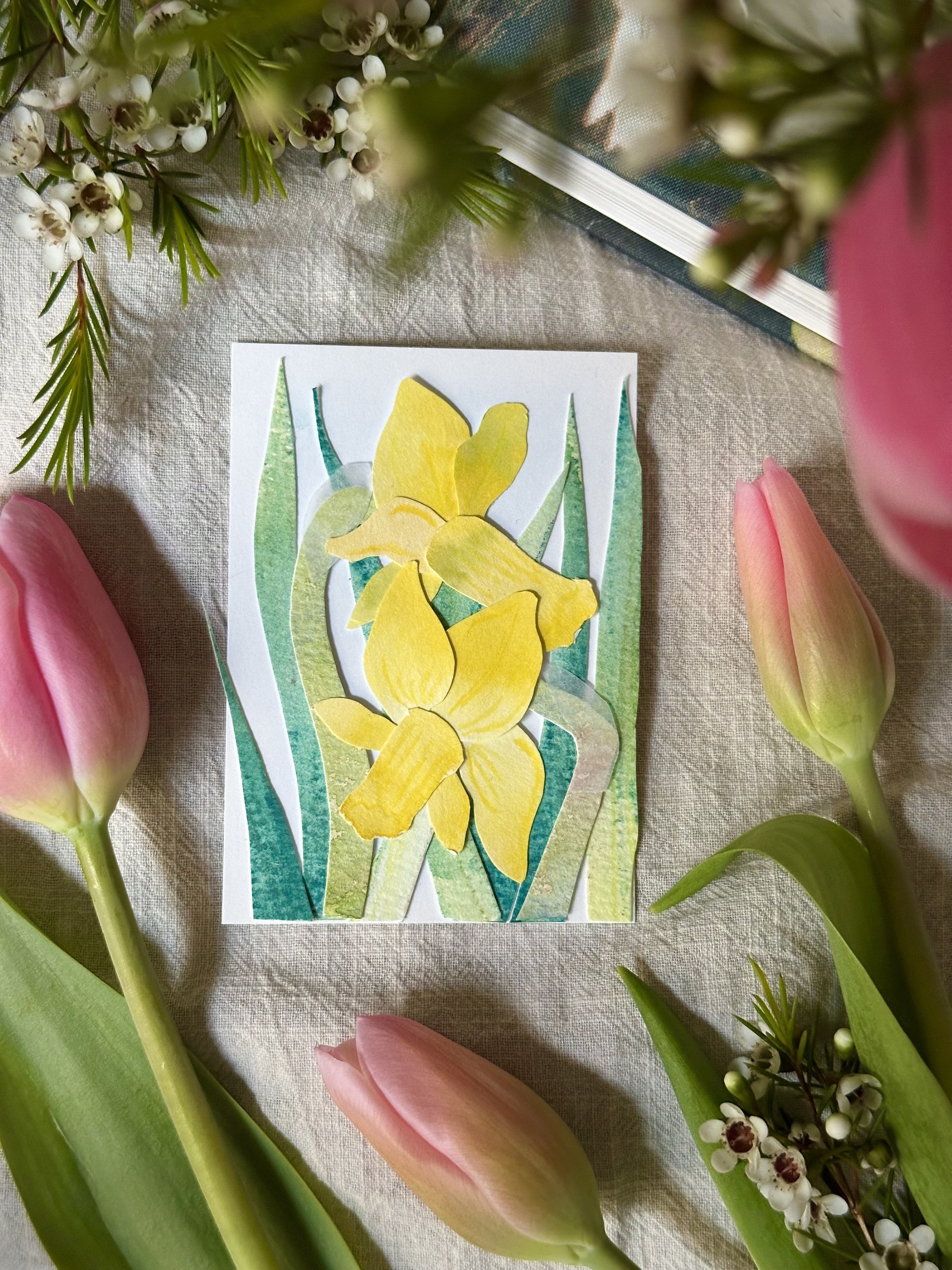 01 DAFFODILS