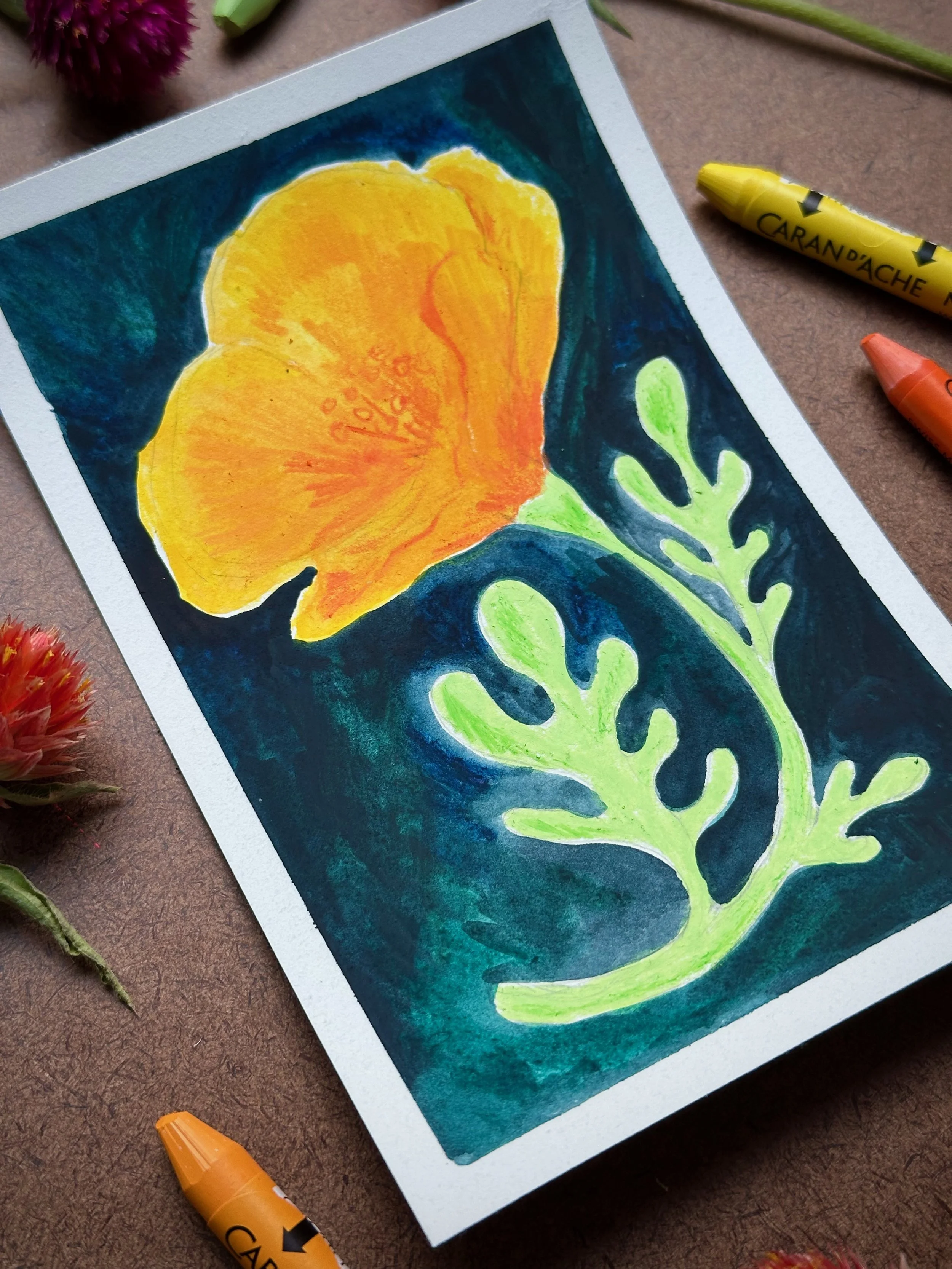 Library - 3 of 38.jpeg