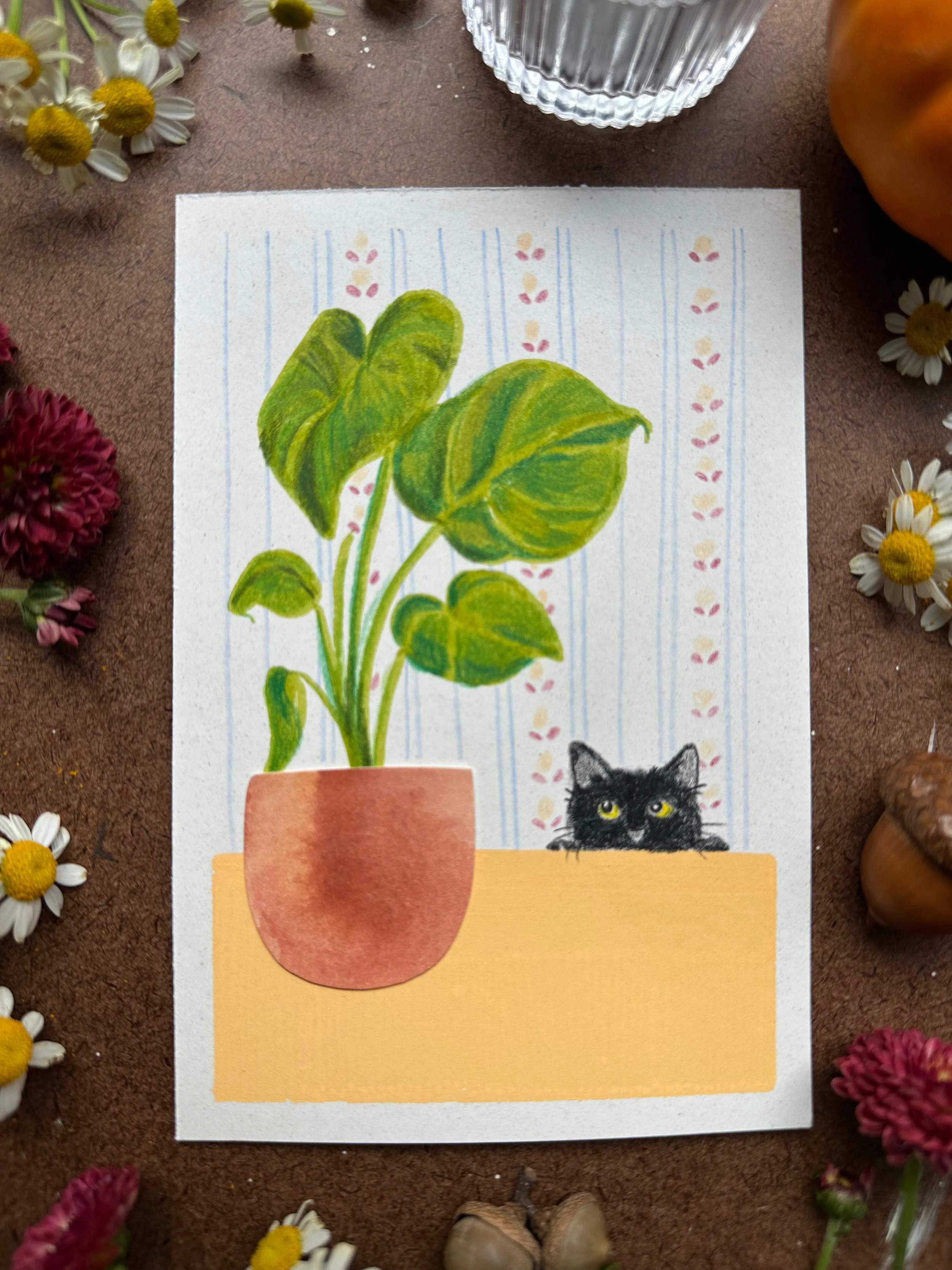 Library - 16 of 32.jpeg