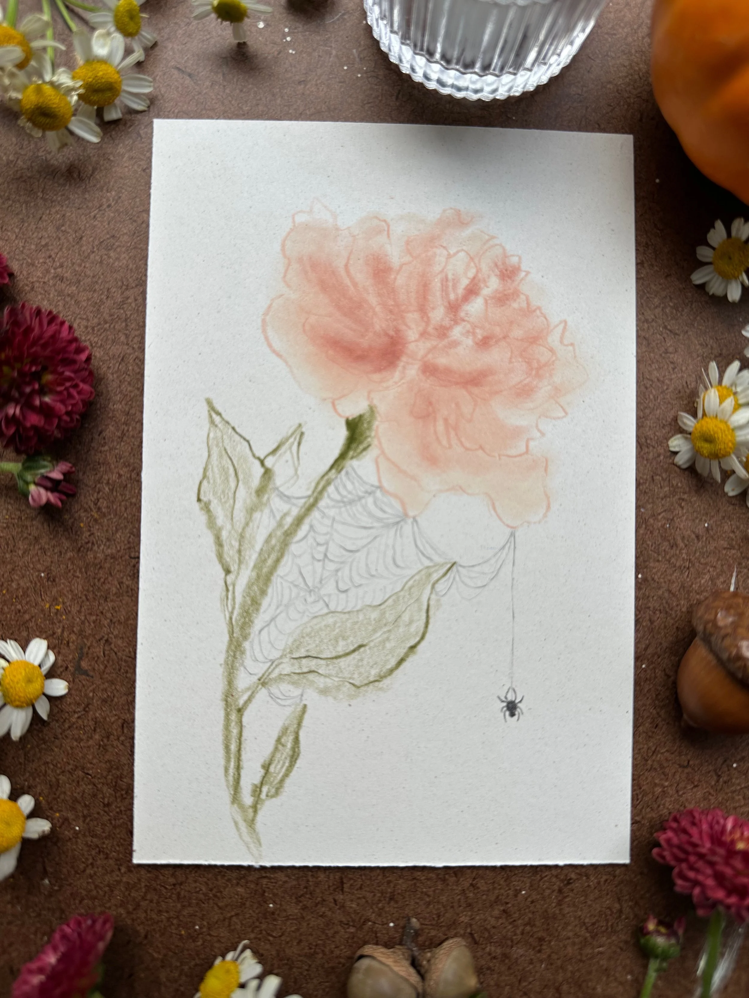 Library - 21 of 32.jpeg