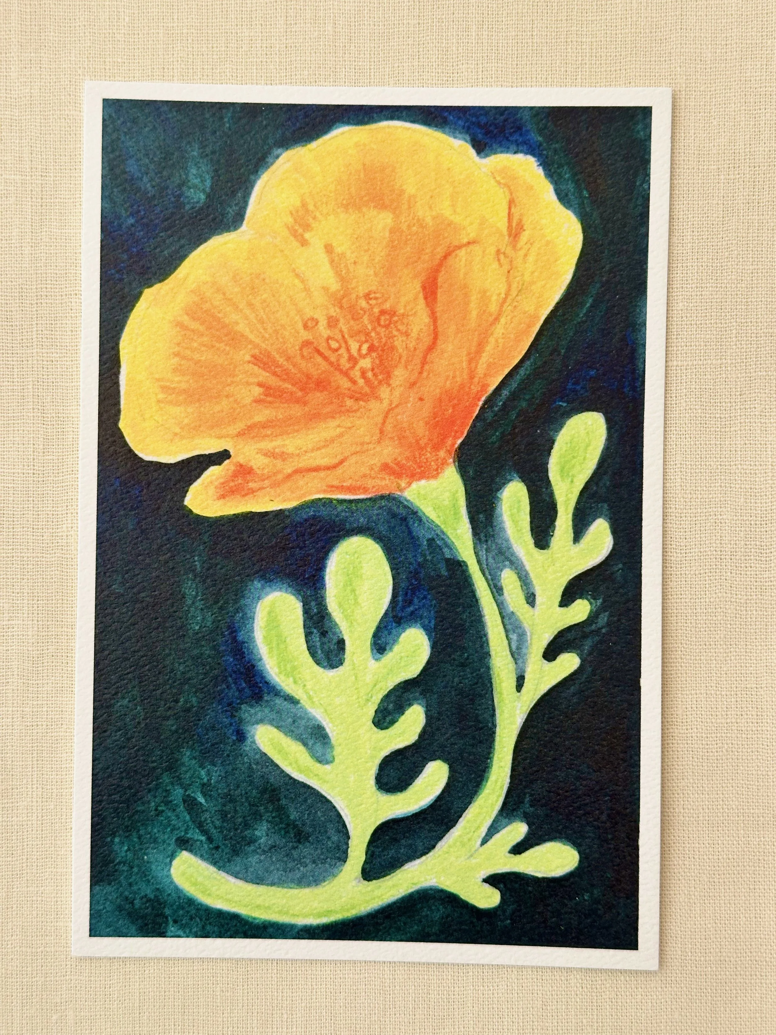 Favorites - 12 of 20.jpeg