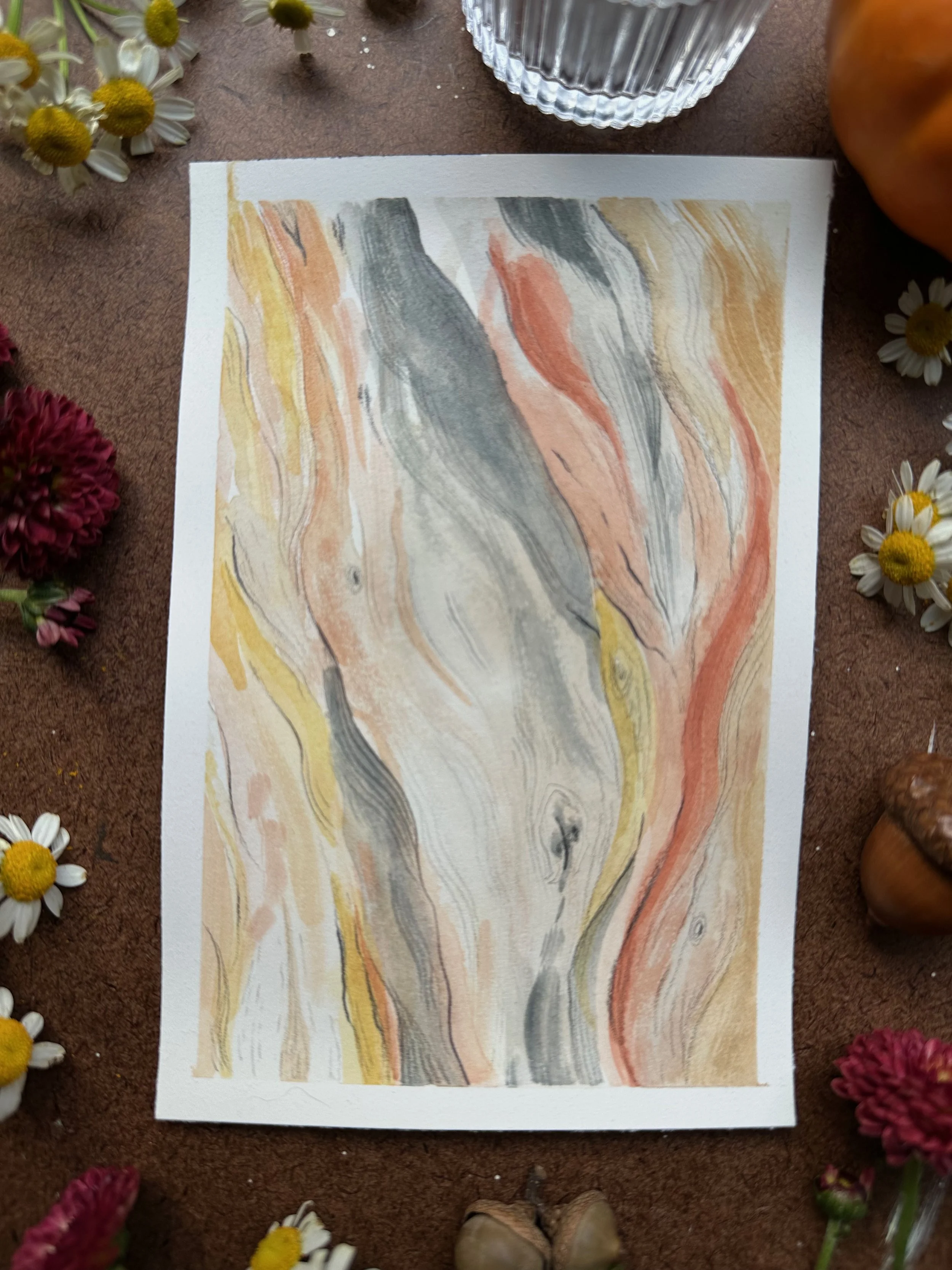 Library - 12 of 32.jpeg