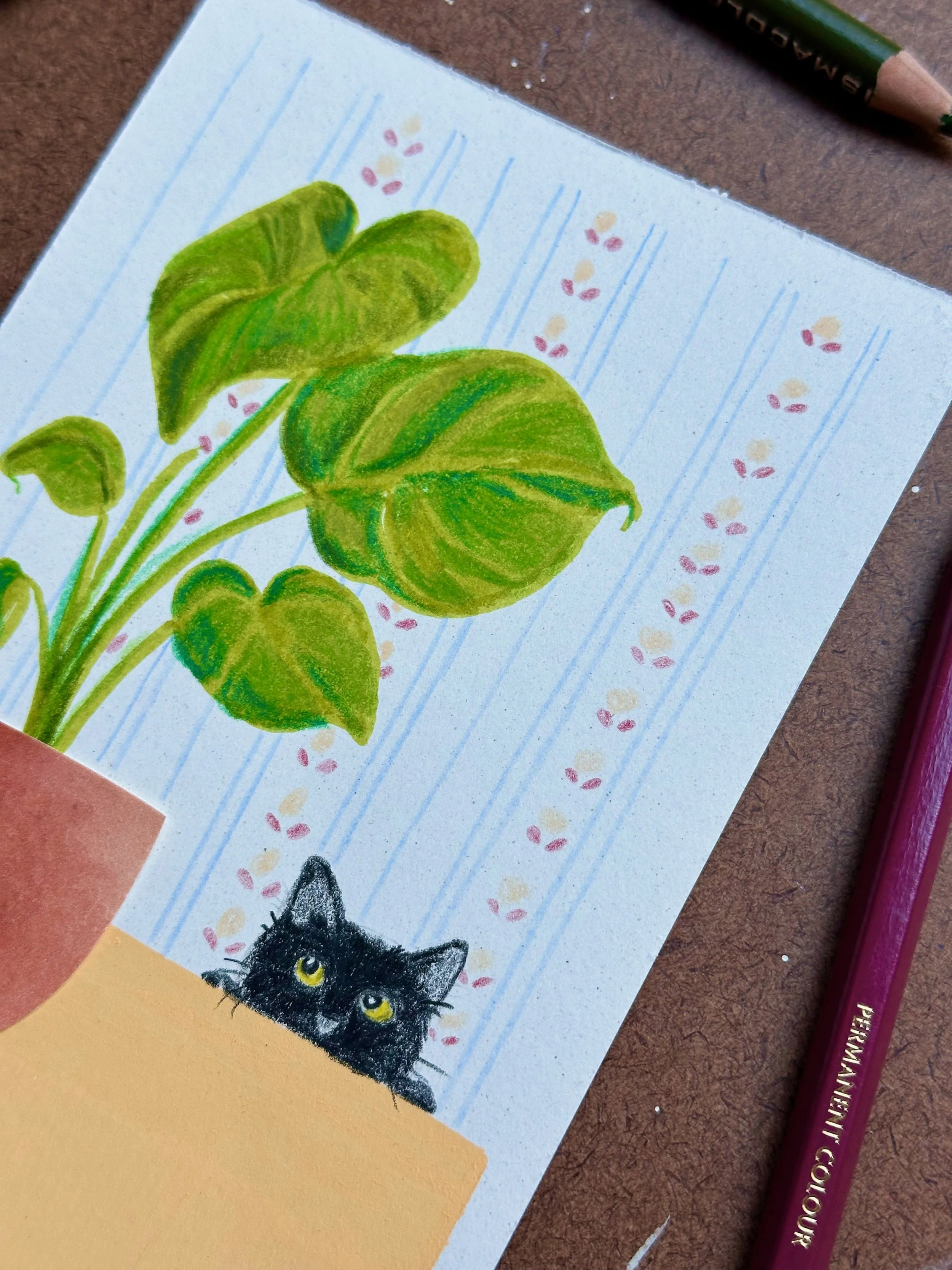 Library - 21 of 38.jpeg