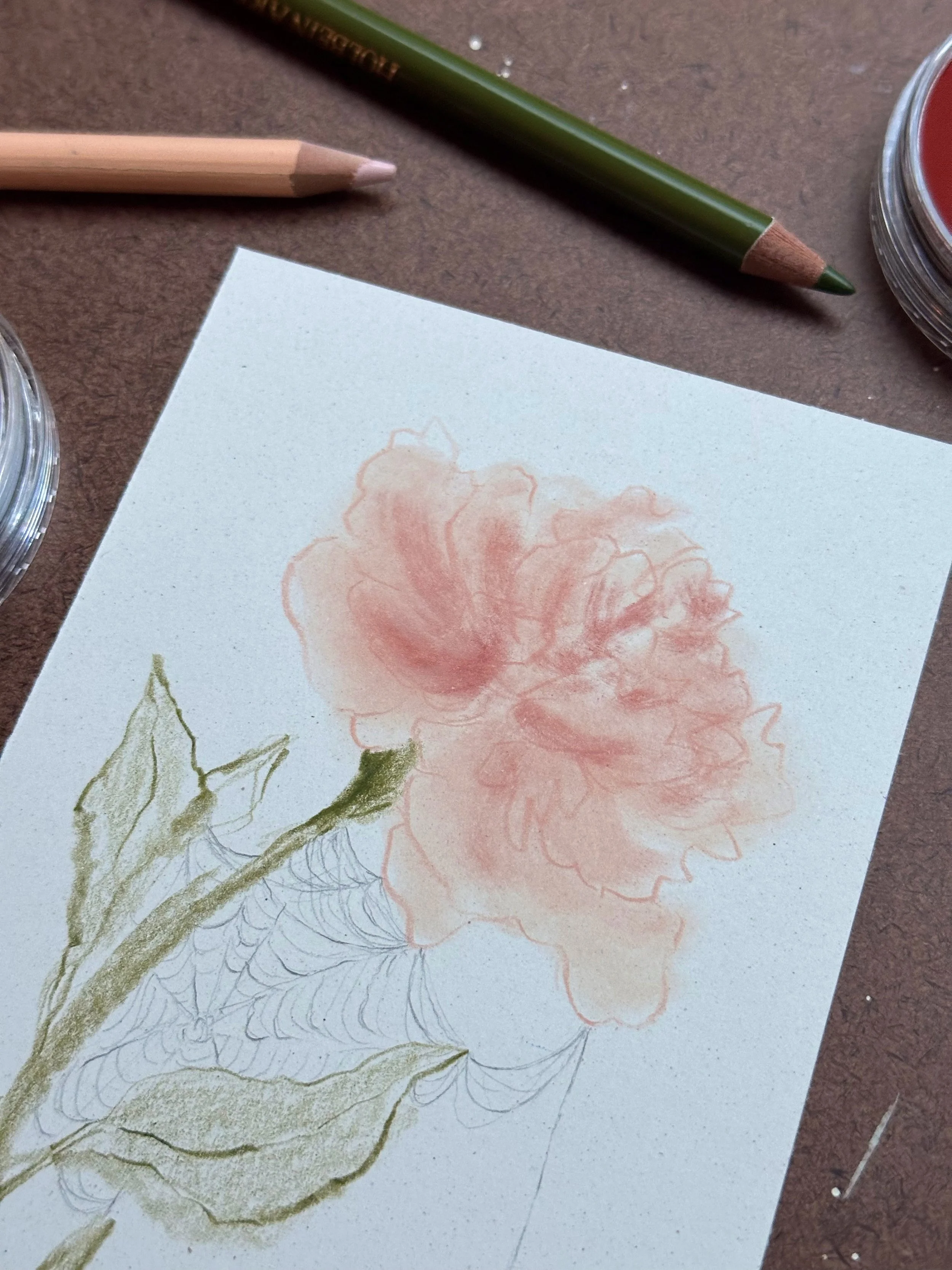 Library - 24 of 38.jpeg