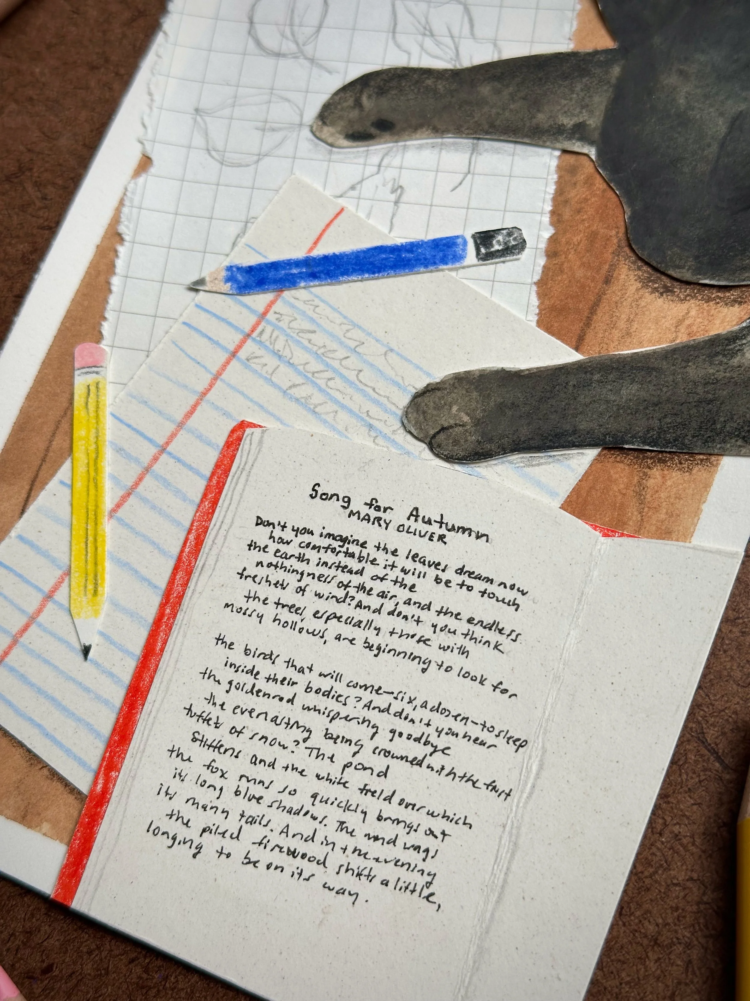 Library - 8 of 38.jpeg