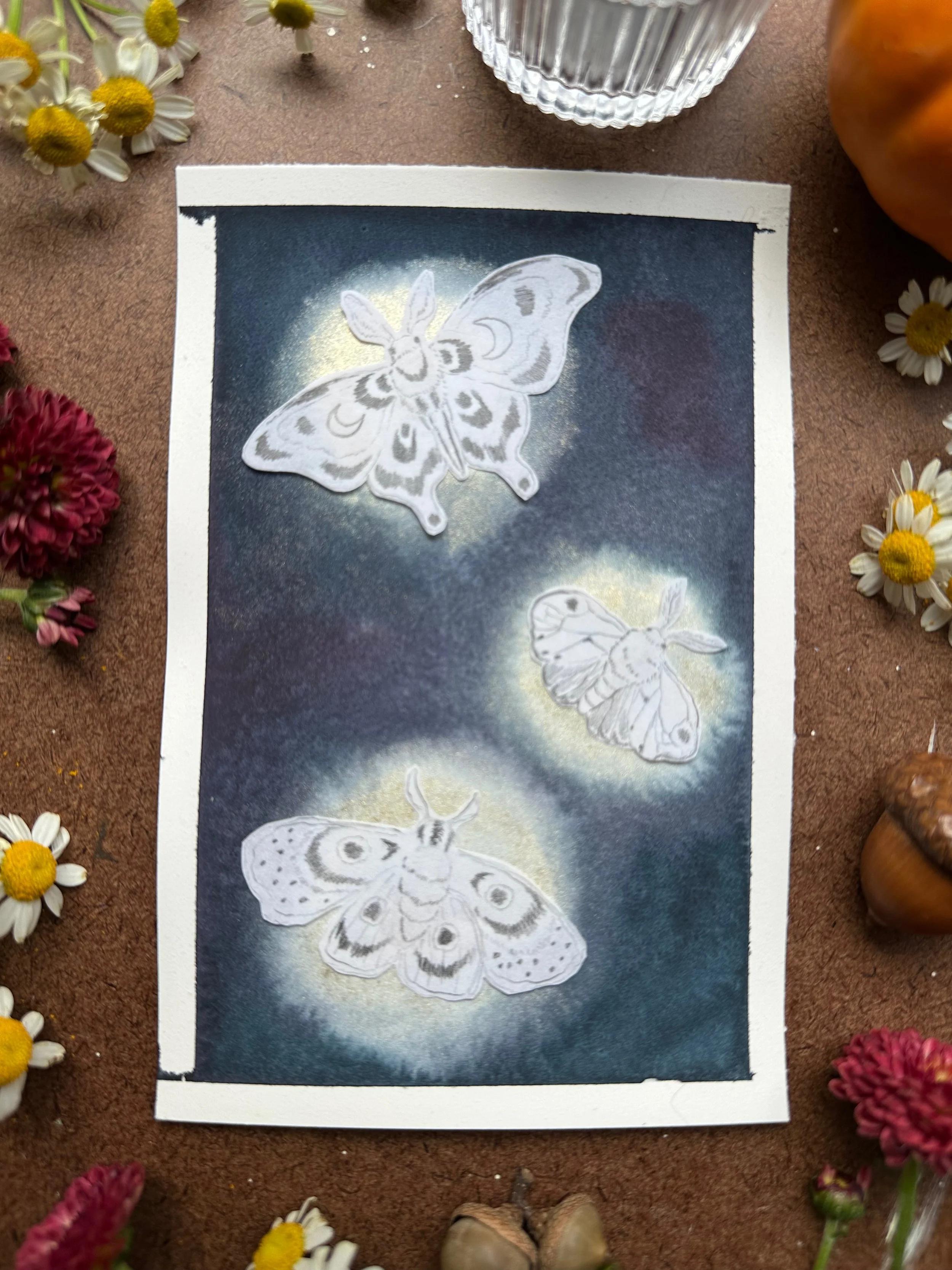 Library - 22 of 32.jpeg