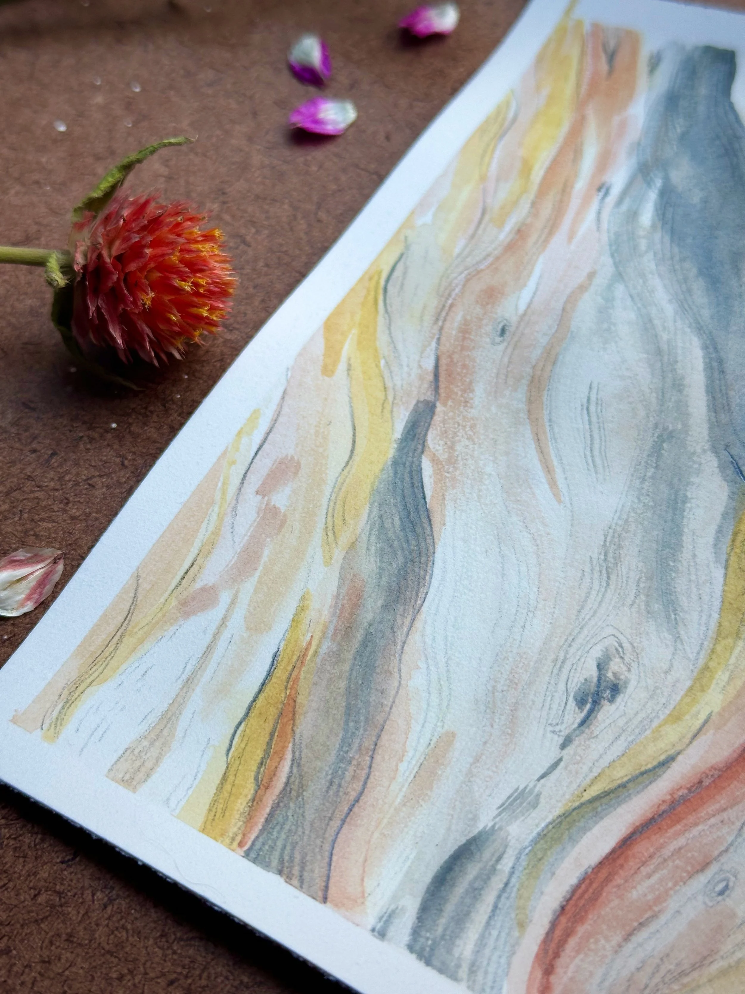 Library - 15 of 38.jpeg