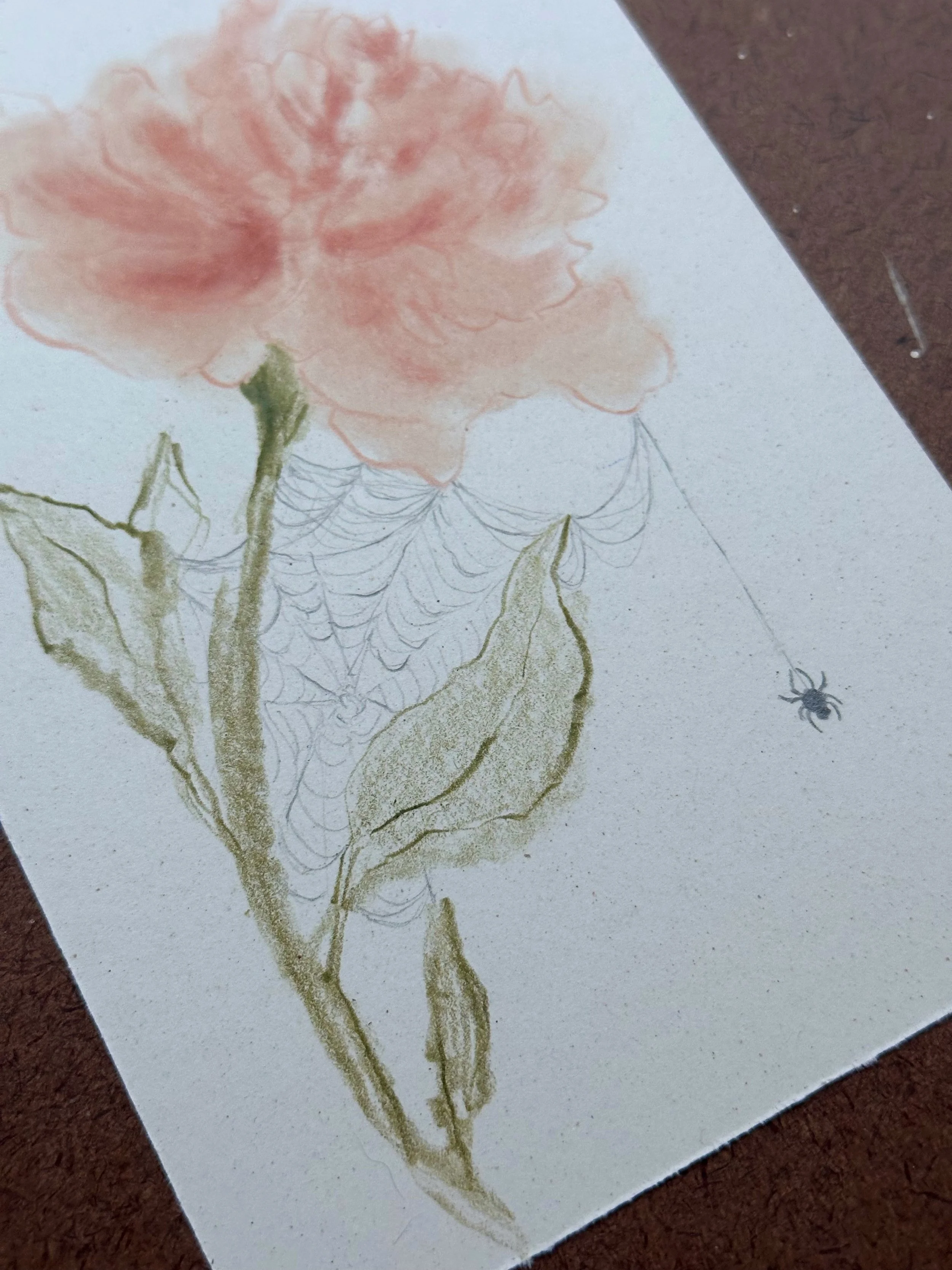 Library - 25 of 38.jpeg