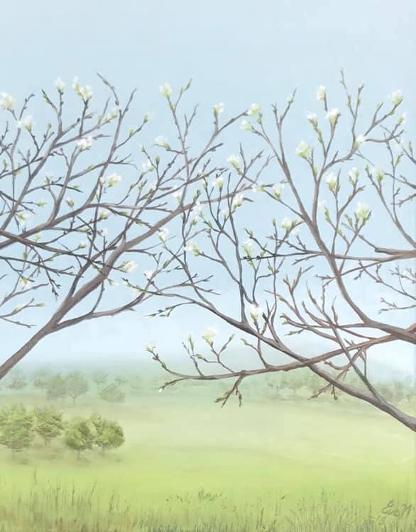 Spring in.jpg