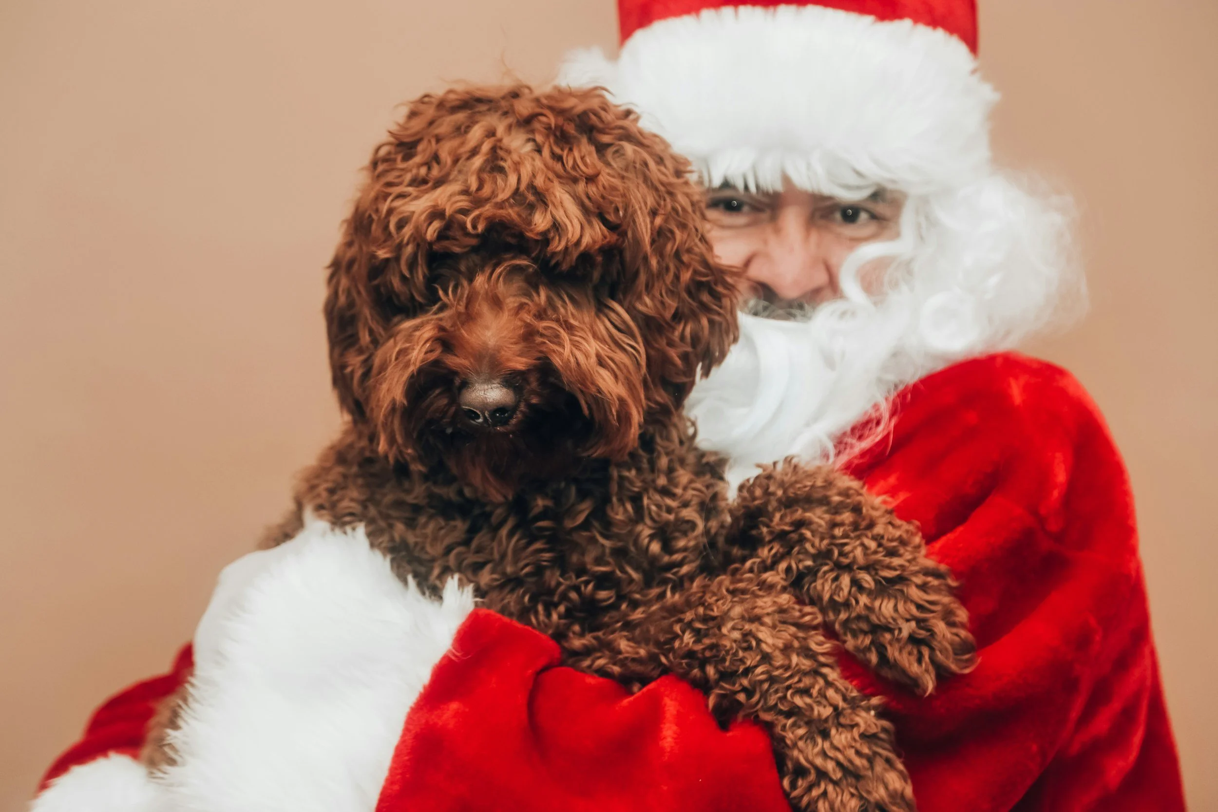 Pet Pictures with Santa