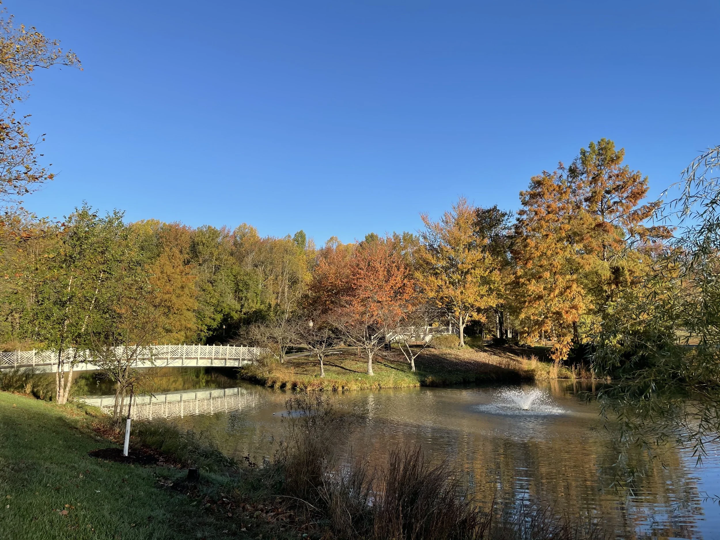 A peaceful park scene with a pond and a fountain, surrounded by trees with autumn foliage and a clear blue sky.