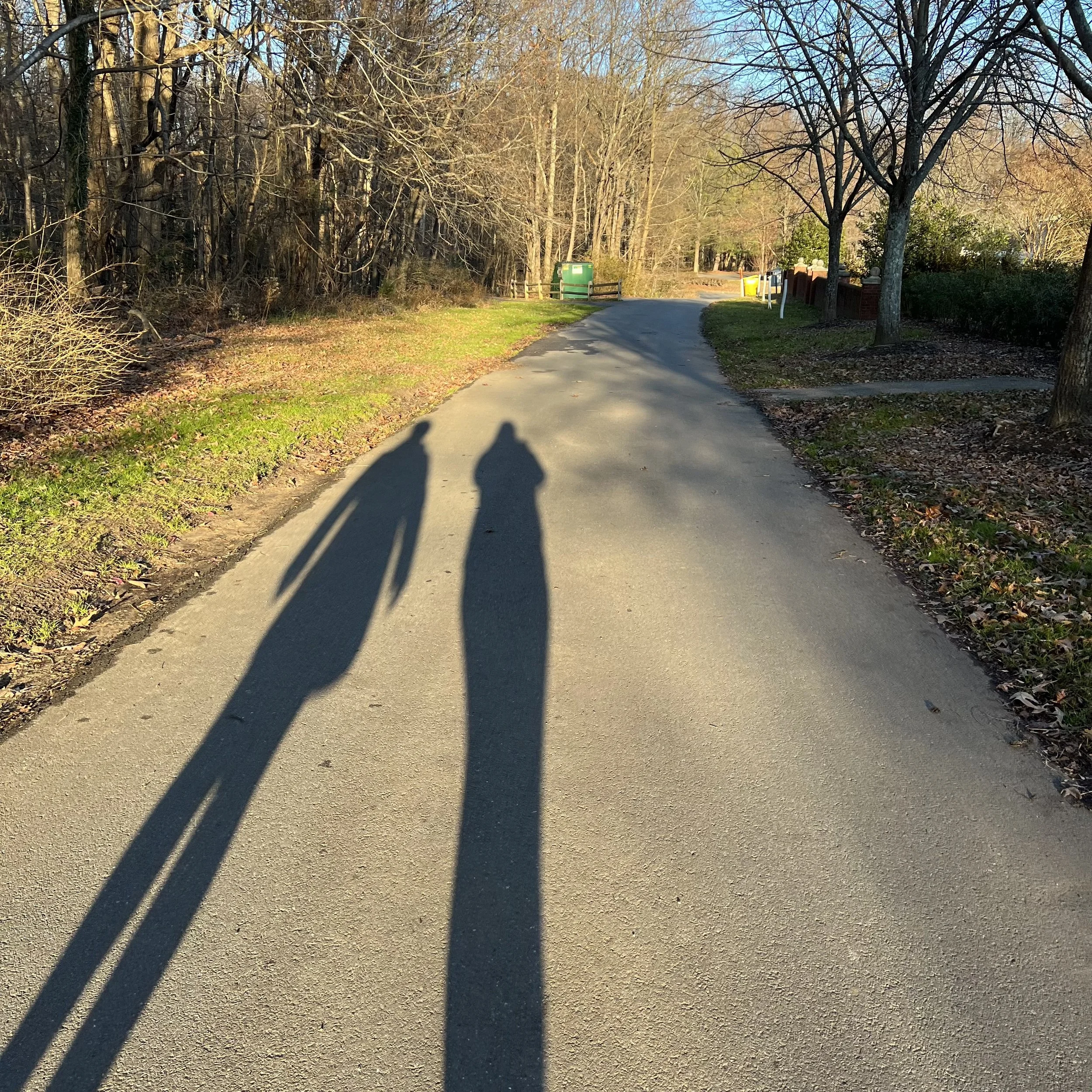 Shadows of two people cast on a paved pathway during sunset in a park or wooded area.