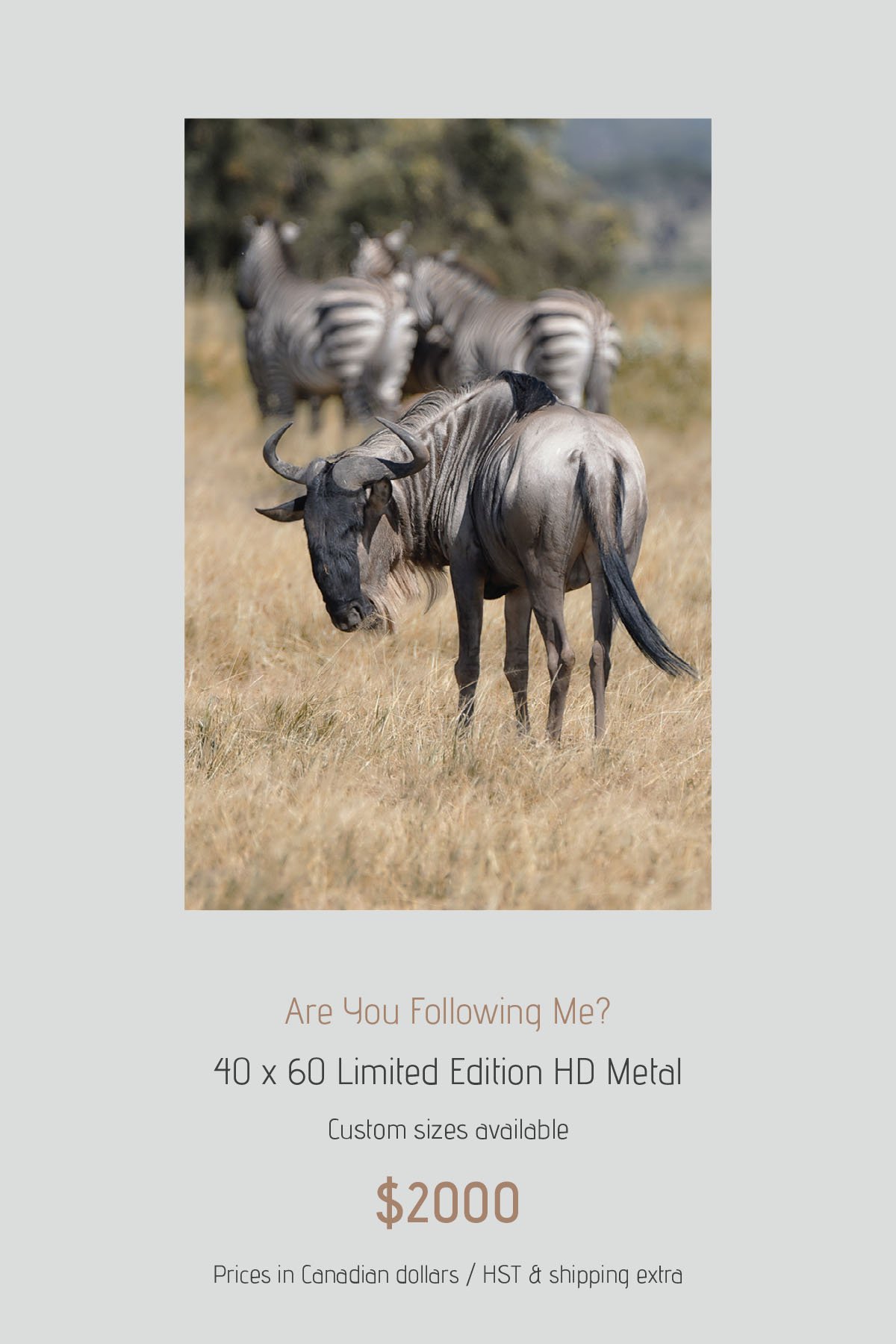 Africa_LayoutImages_V1-5.jpg