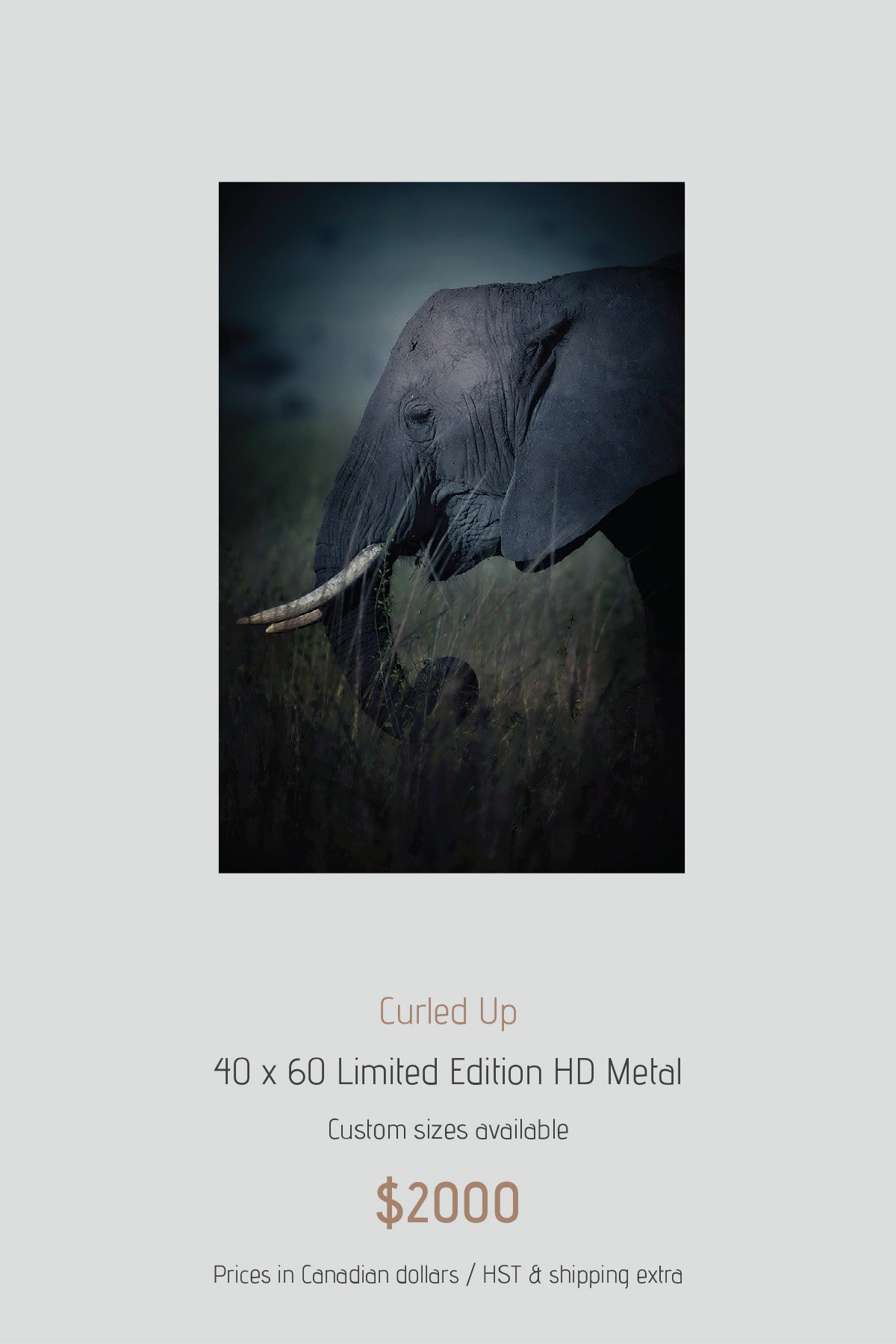 Africa_LayoutImages_V1-3.jpg