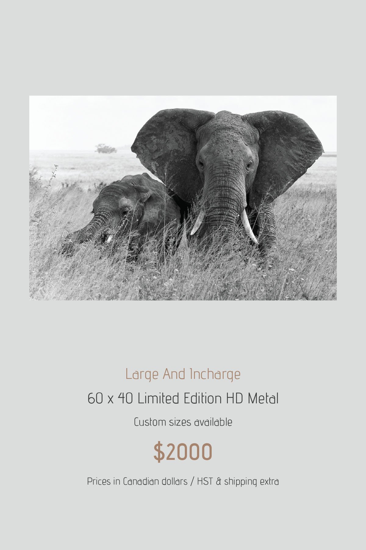 Africa_LayoutImages_V1-28.jpg