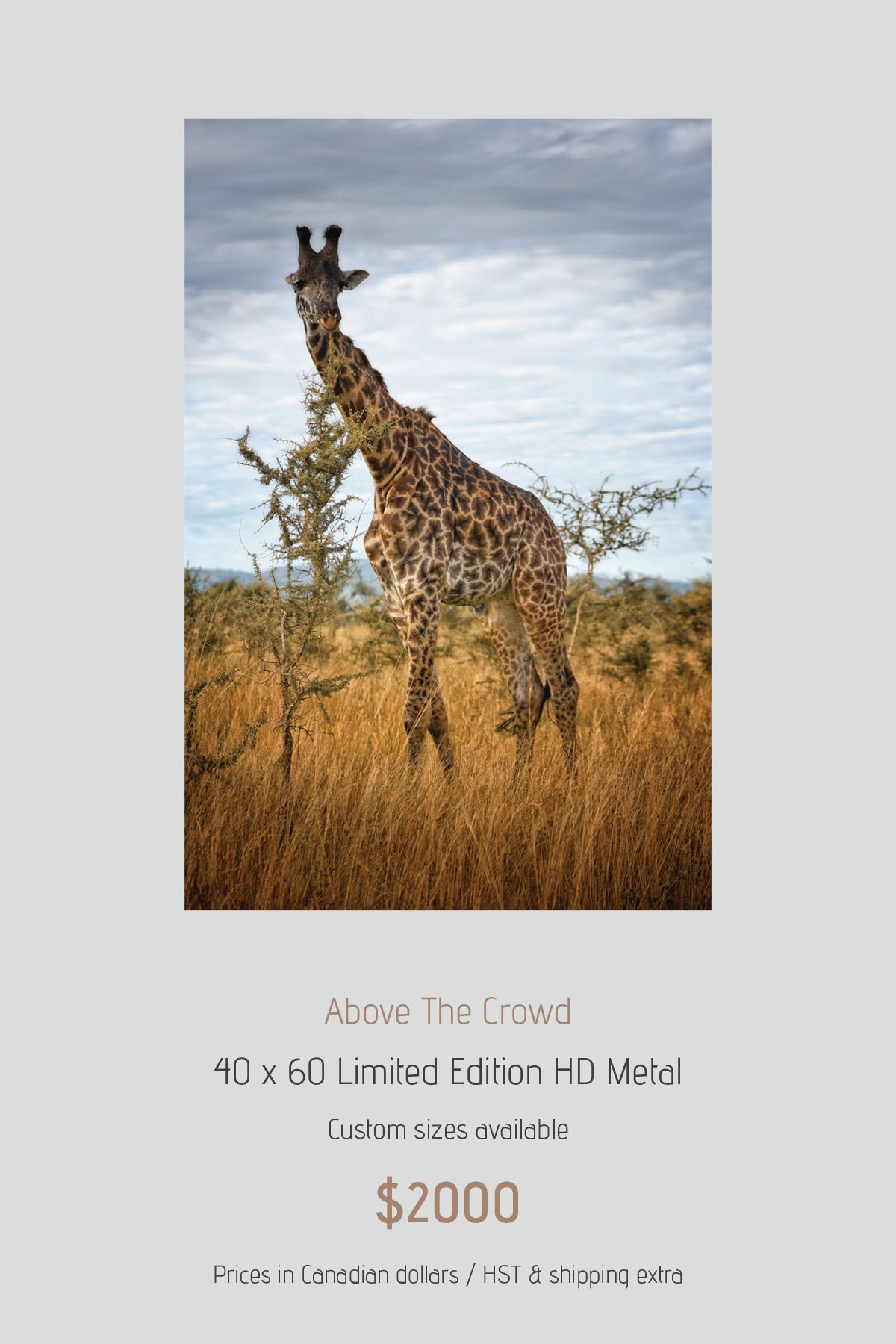 Africa_LayoutImages_V1-10.jpg