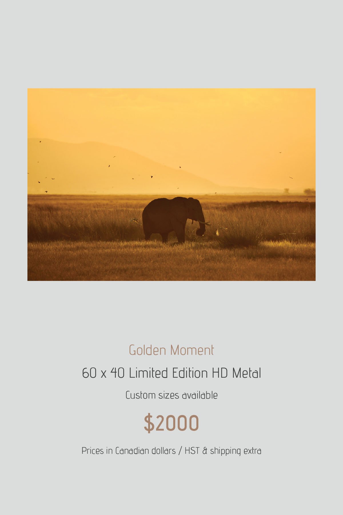 Africa_LayoutImages_V1-29.jpg