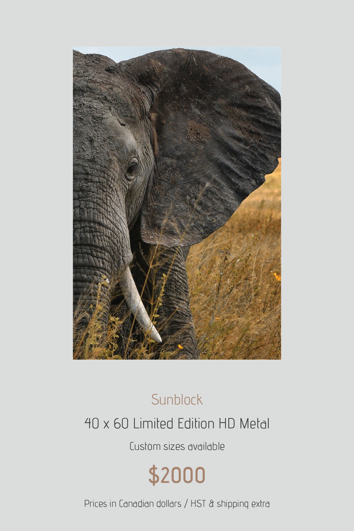 Africa_LayoutImages_V1-6.jpg