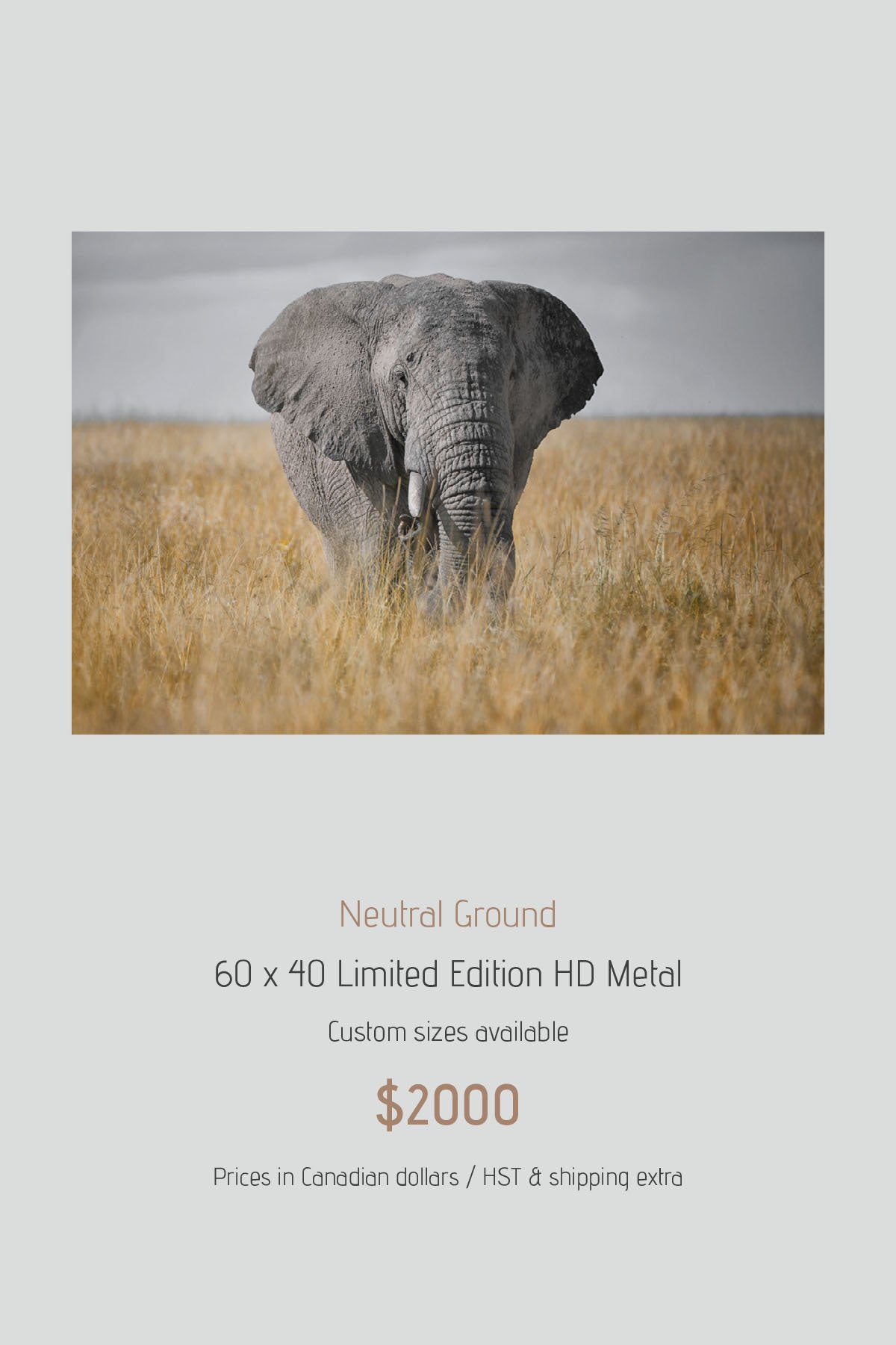 Africa_LayoutImages_V1-50.jpg