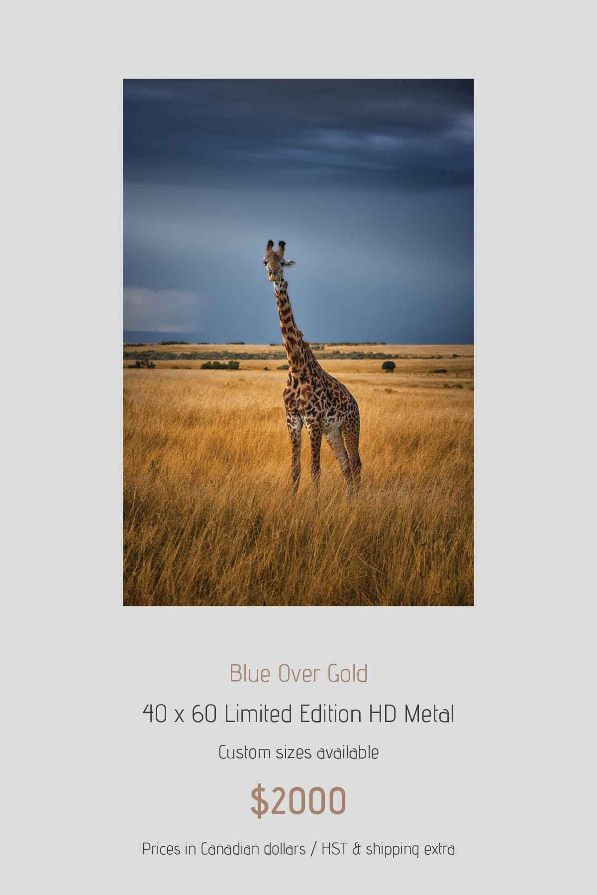Africa_LayoutImages_V1-13.jpg