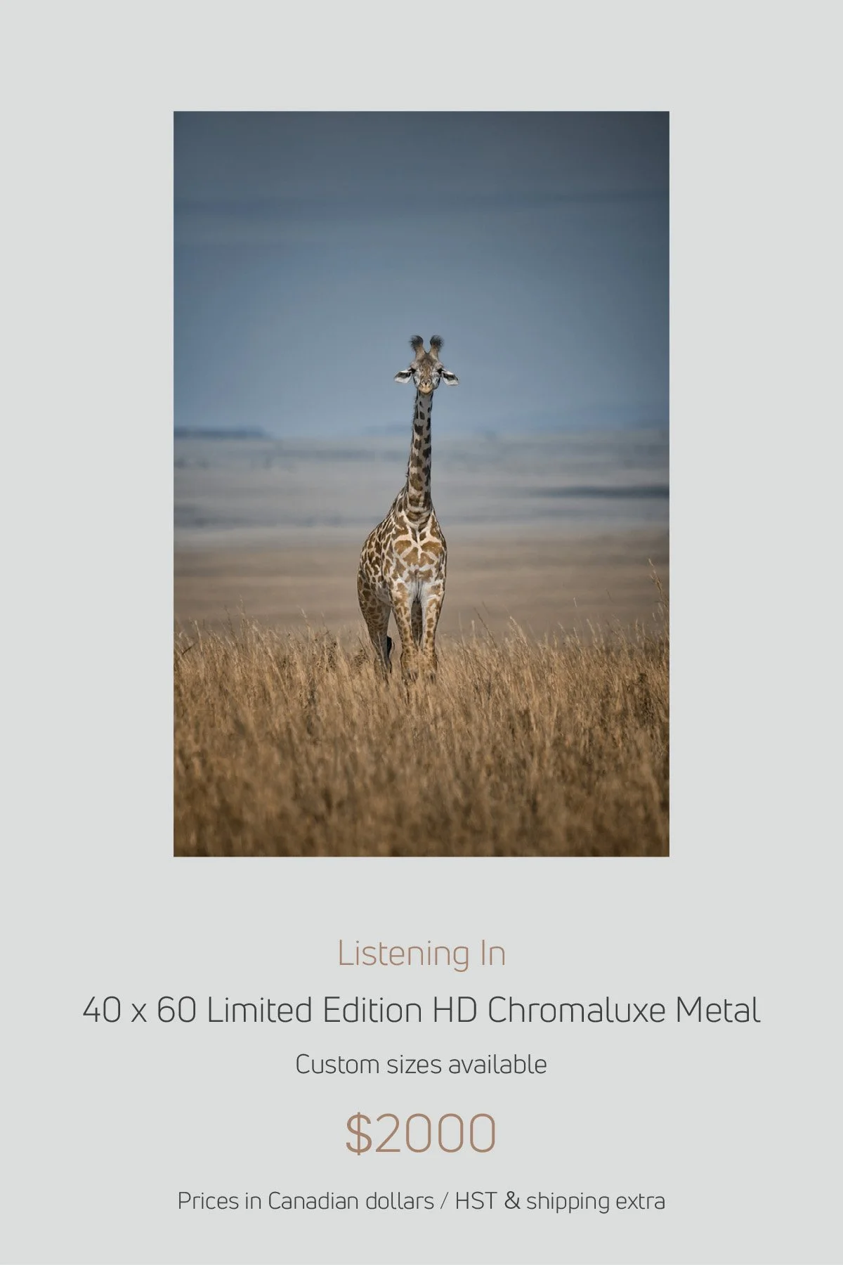 Africa_LayoutImages_V1-10.jpg