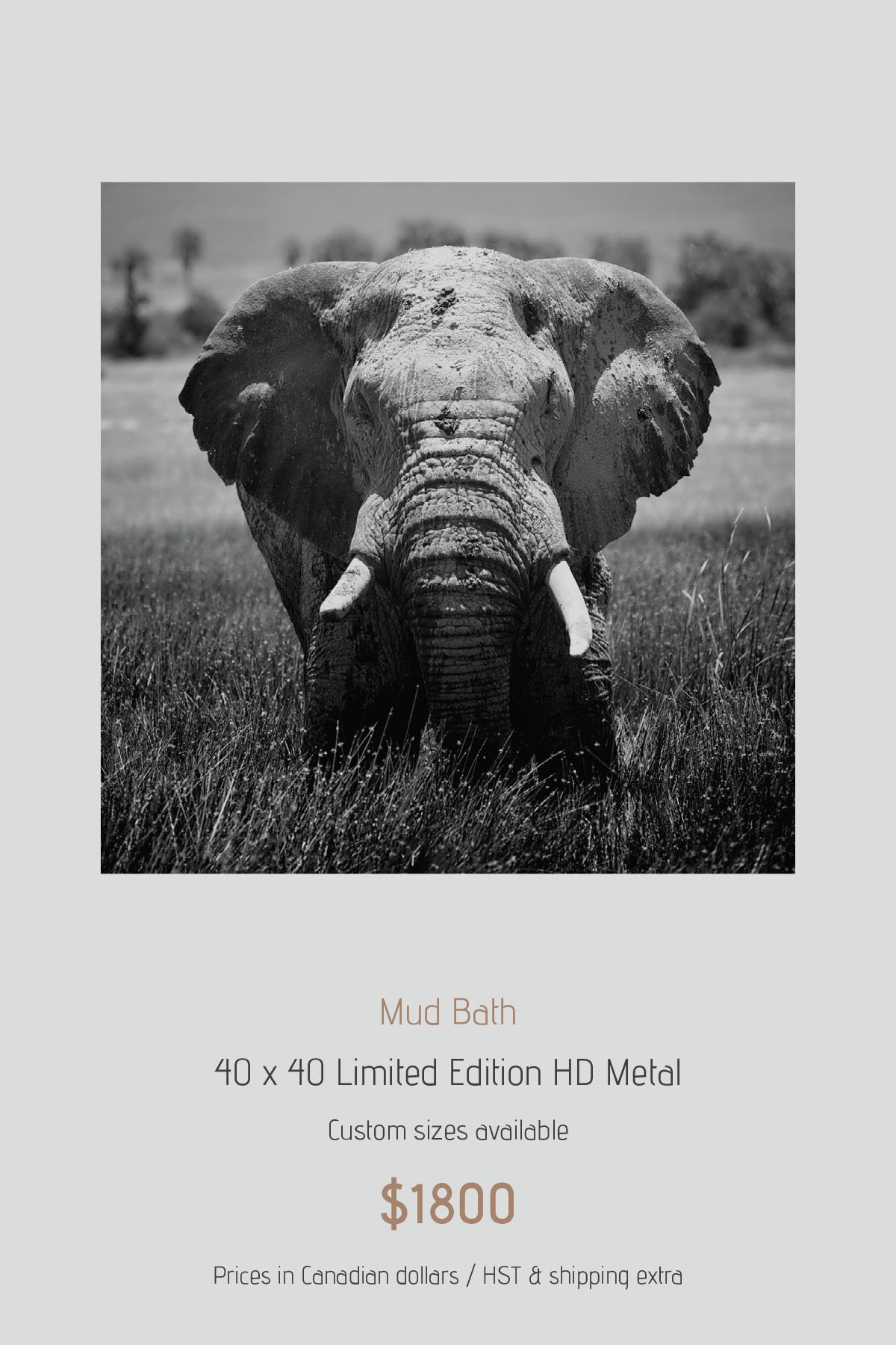 Africa_LayoutImages_V1-4.jpg