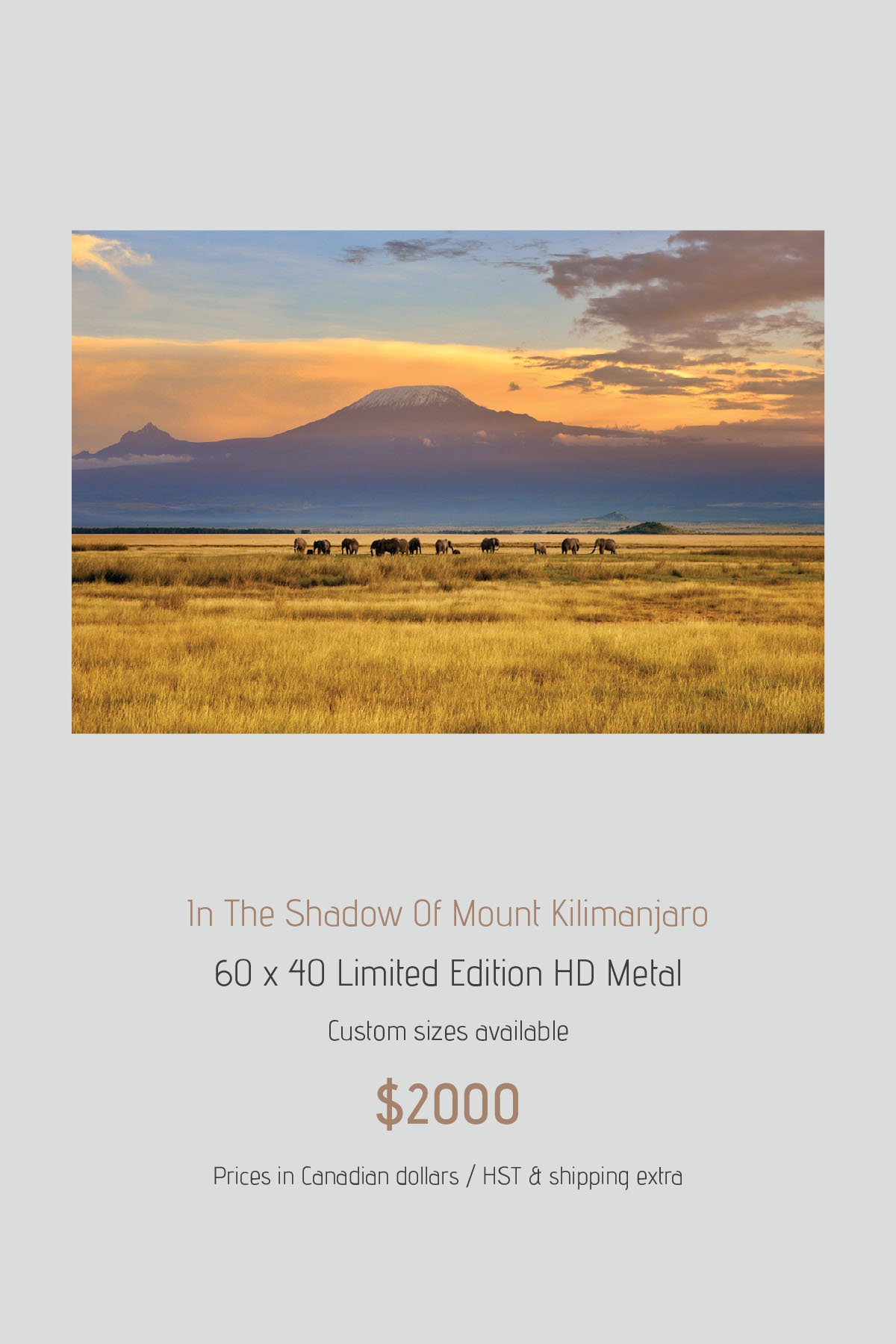 Africa_LayoutImages_V1-23.jpg