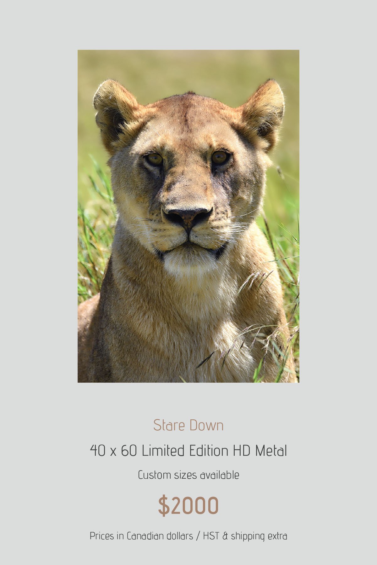 Africa_LayoutImages_V1-7.jpg