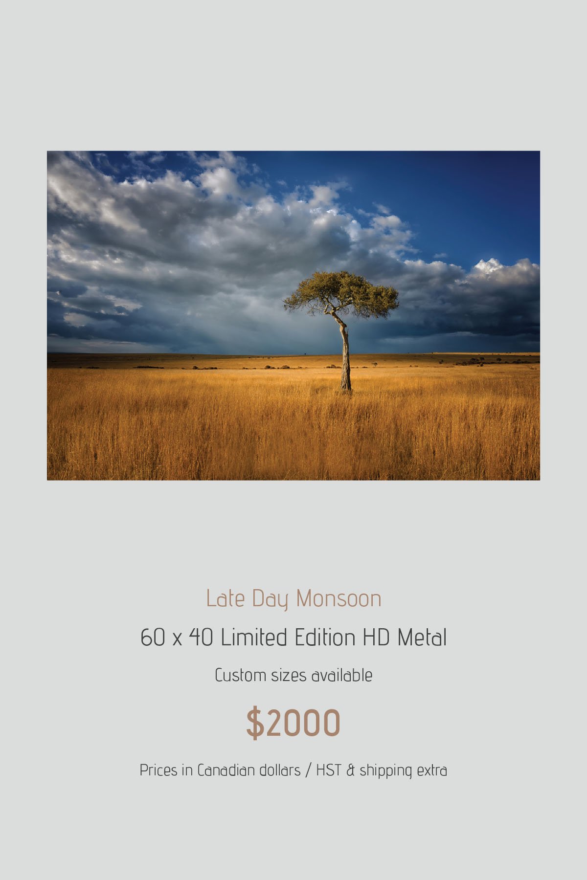 Africa_LayoutImages_V1-32.jpg