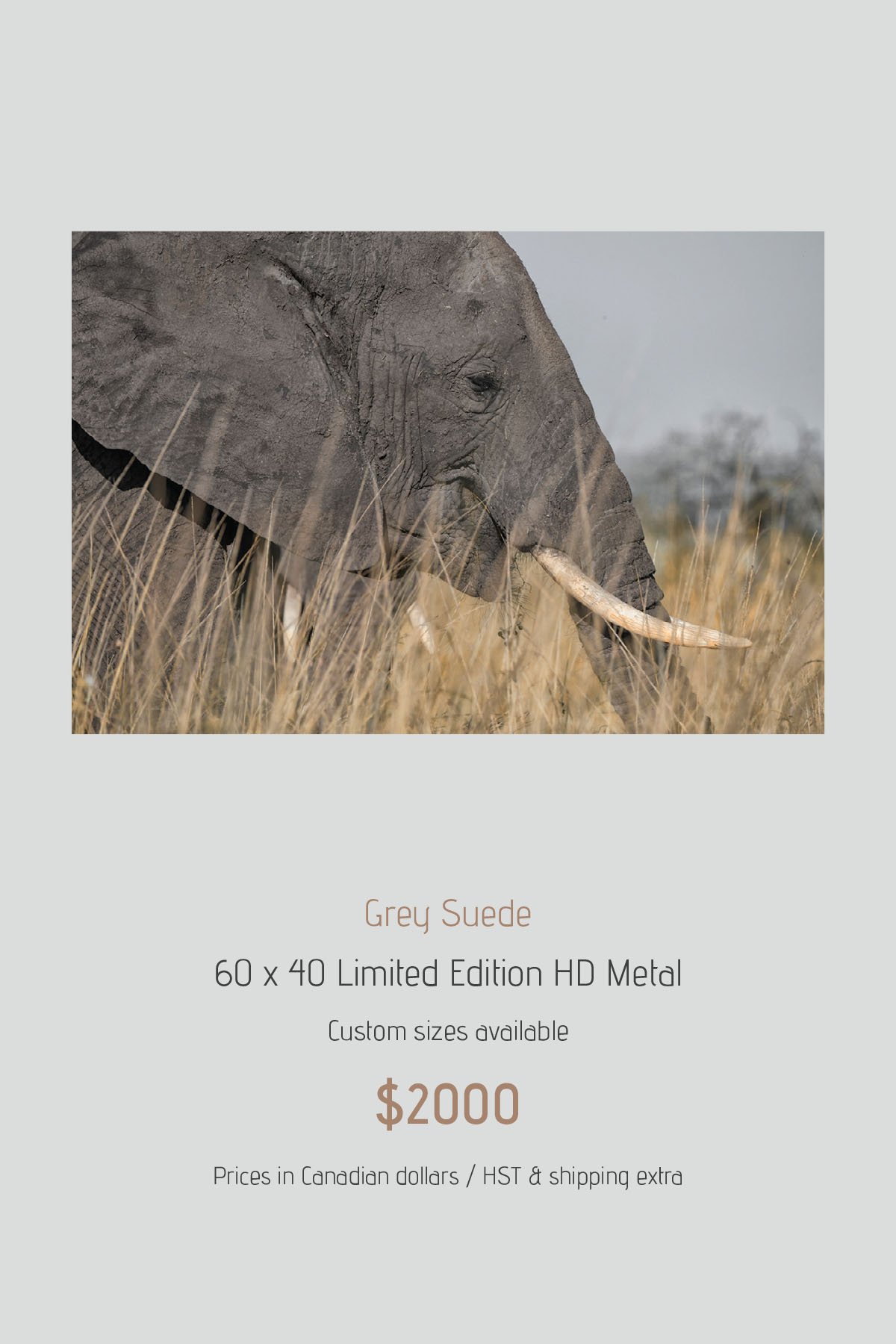 Africa_LayoutImages_V1-47.jpg