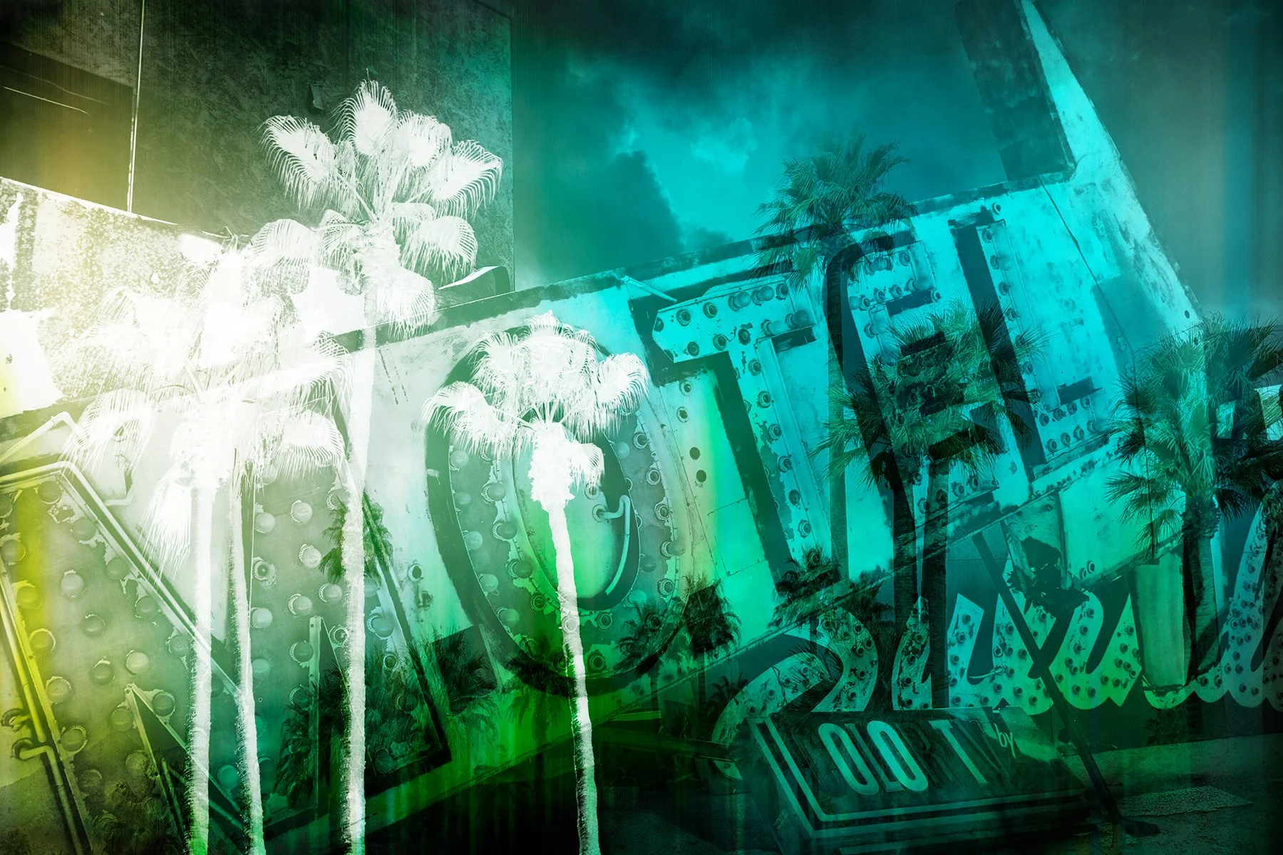 Overlay of a neon sign with palm trees reflected on the glass, showcasing tropical elements and outdoor night lighting.