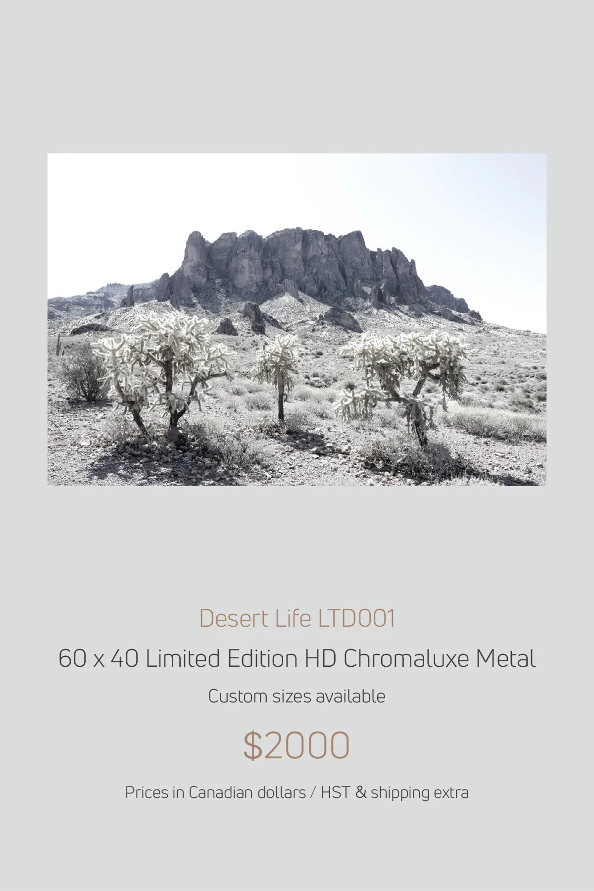 Southwest_LayoutImages_V3-4.jpg