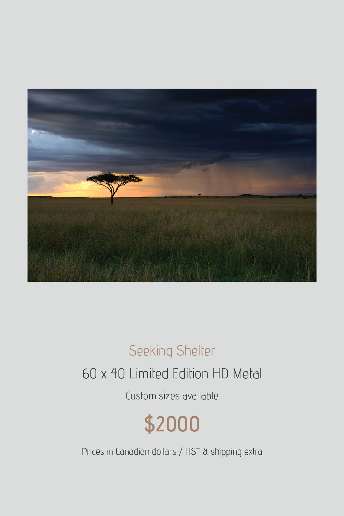 Africa_LayoutImages_V1-38.jpg